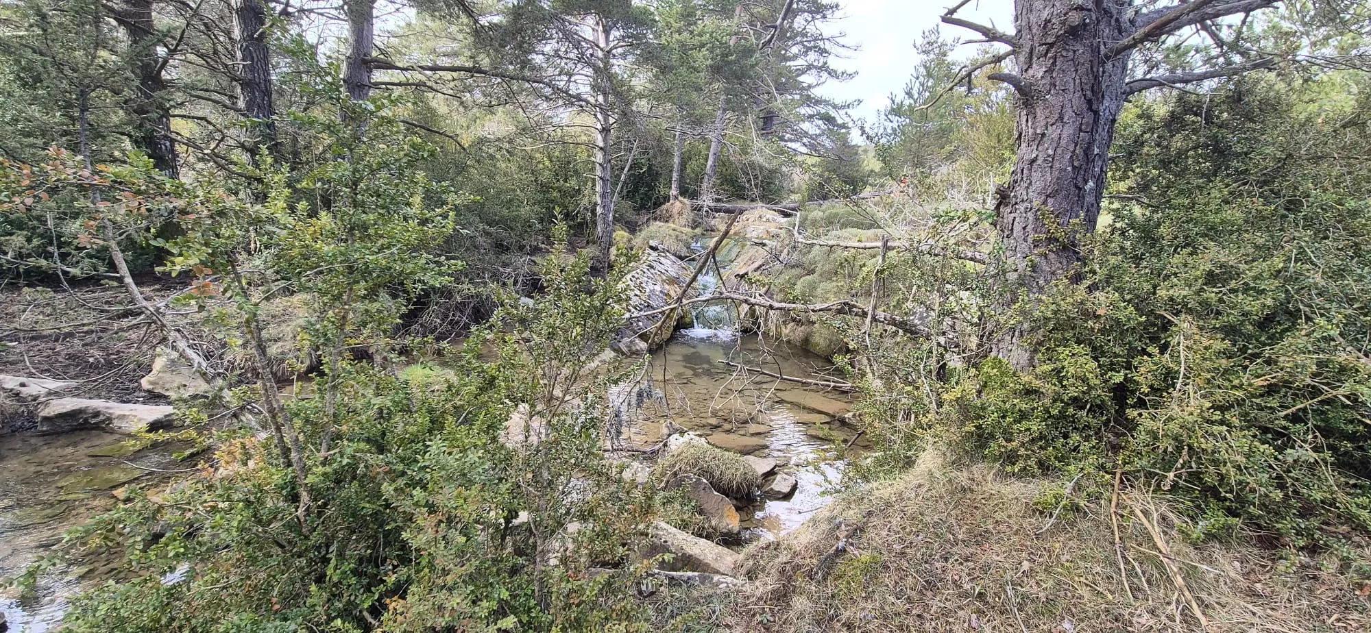 Primero de los 12 retos, 12 Cimas a la Sierra de Bonés