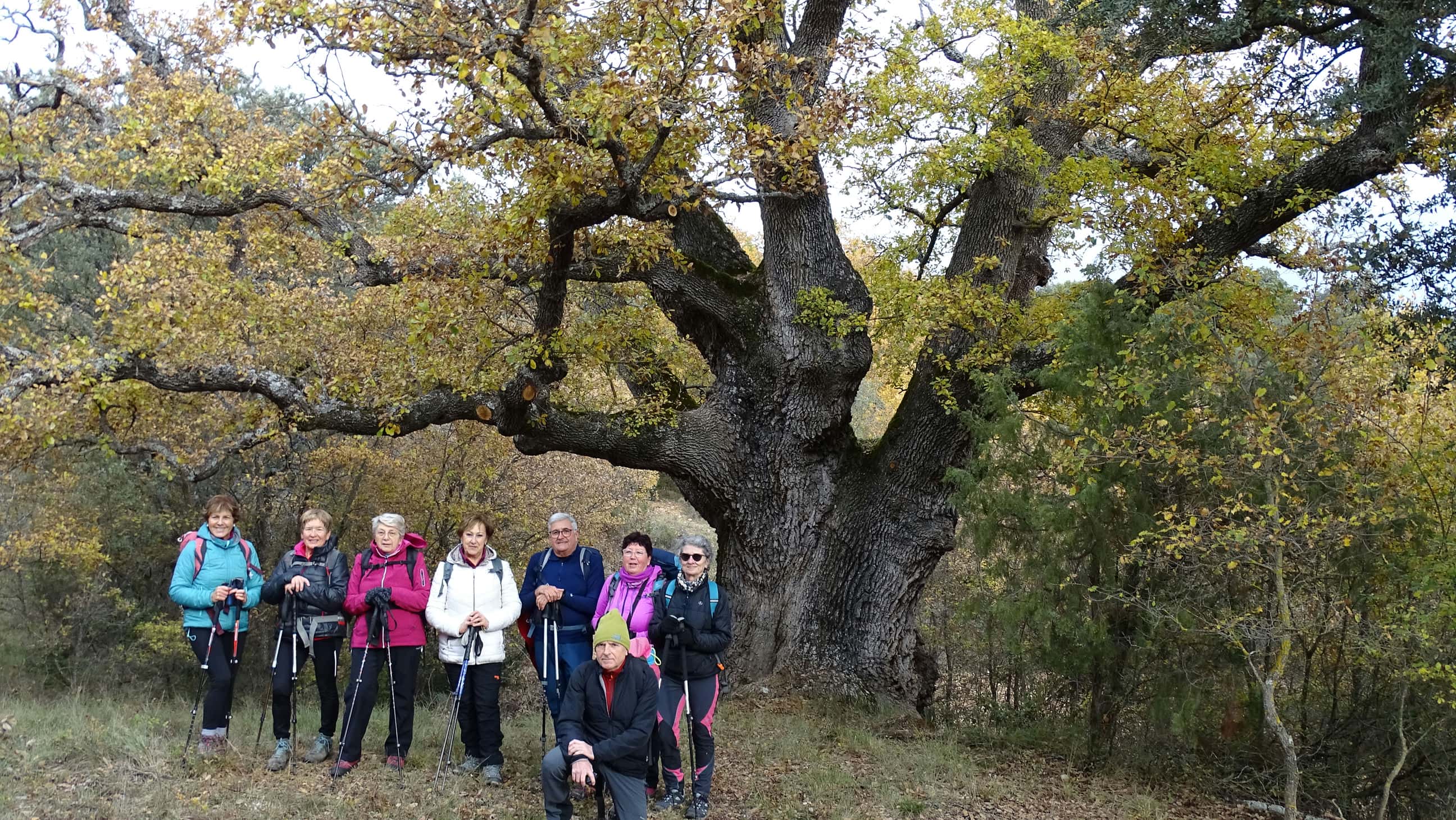 Ruta por Morrano–Pedruel–Puente Pedruel–Rodellar de Peña Guara. Foto A. Zazo