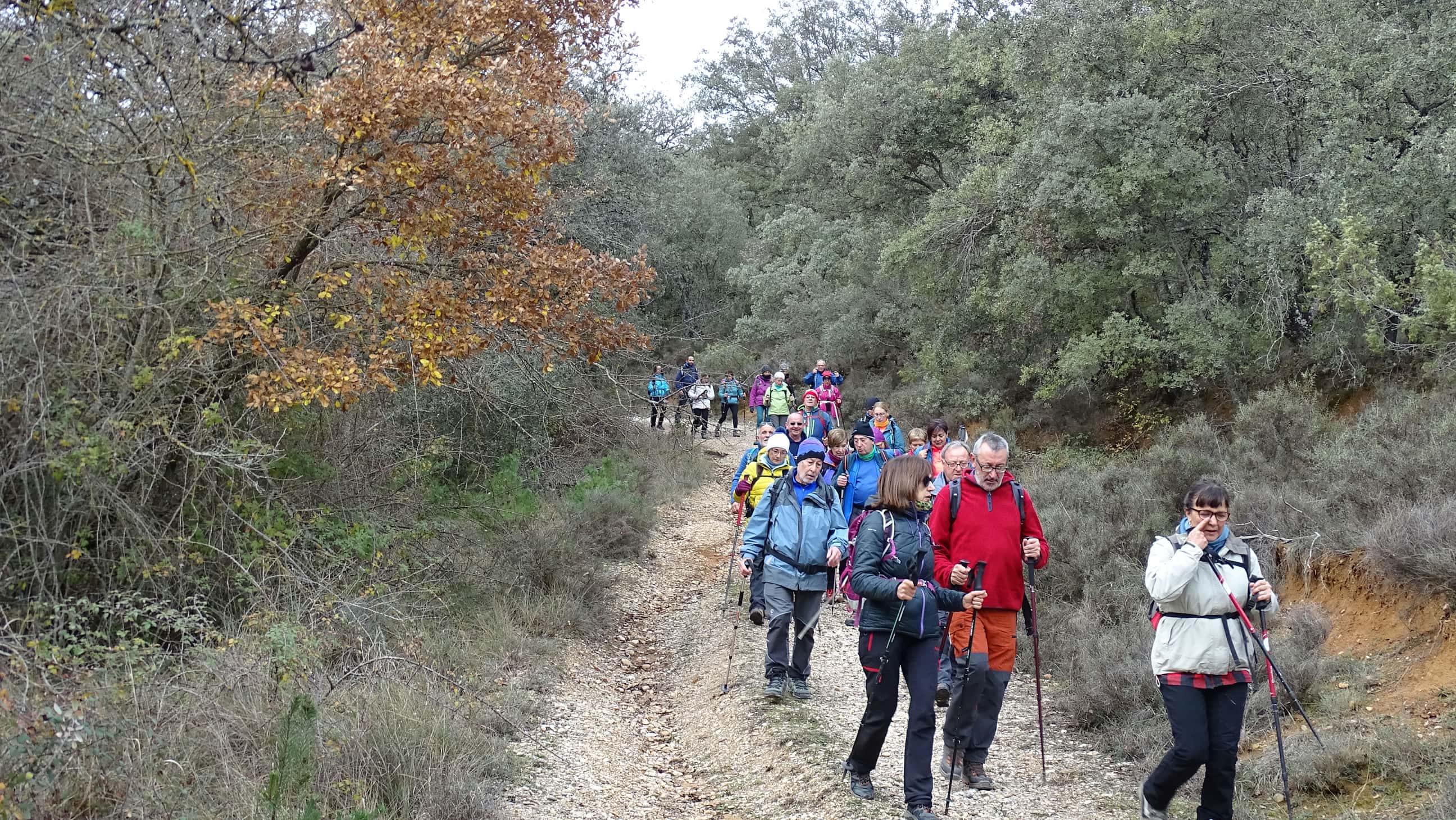 Ruta por Morrano–Pedruel–Puente Pedruel–Rodellar de Peña Guara. Foto A. Zazo