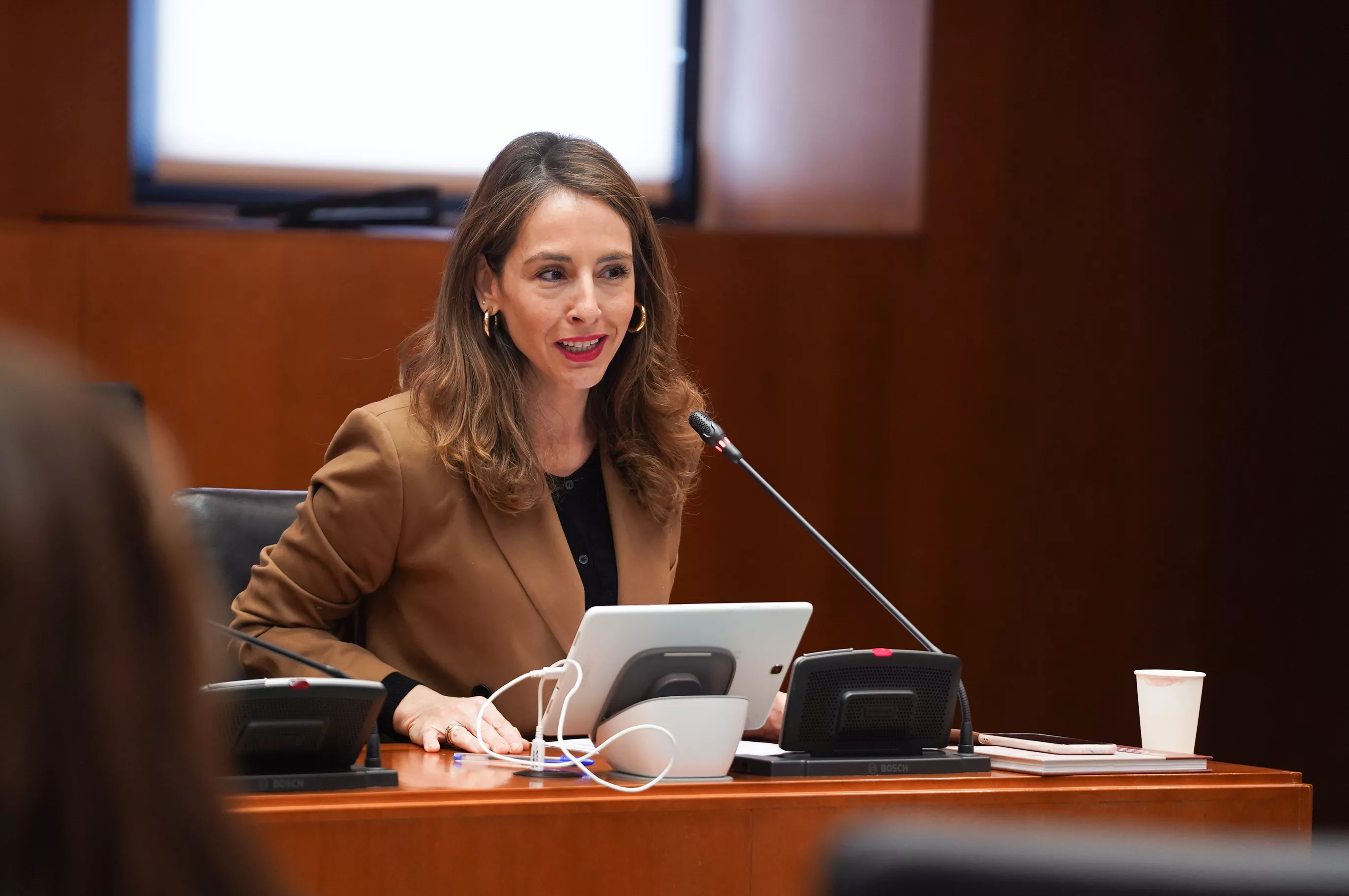 María Navarro en la ponencia de la Cámara de Cuentas