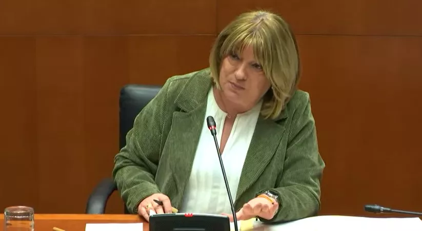 Tomasa Hernández, en su intervención en la Comisión de Educación de las Cortes.