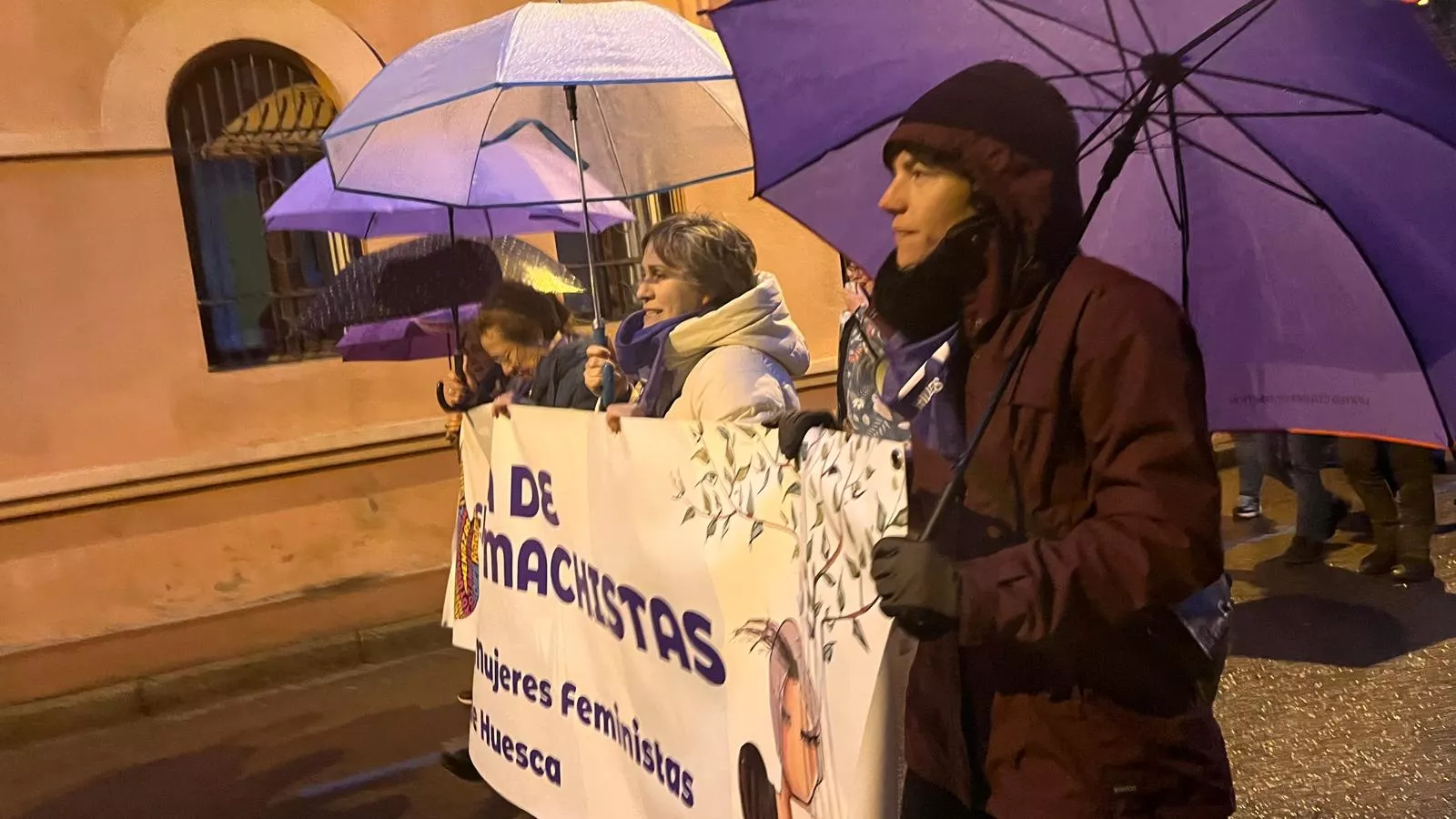 Manifestación que ha recorrido las calles de Huesca en el 8M. Foto Mercedes Manterola