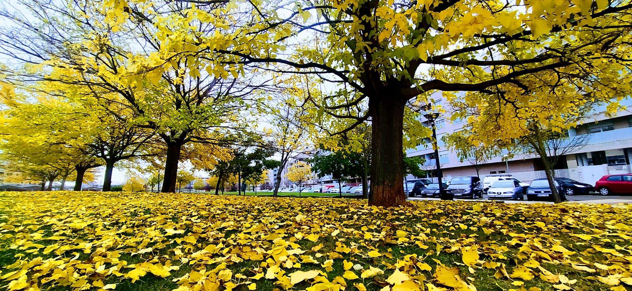 Parque de la Manzana de Huesca, en el barrio de los Olivos. Foto Joaquín Santafé 