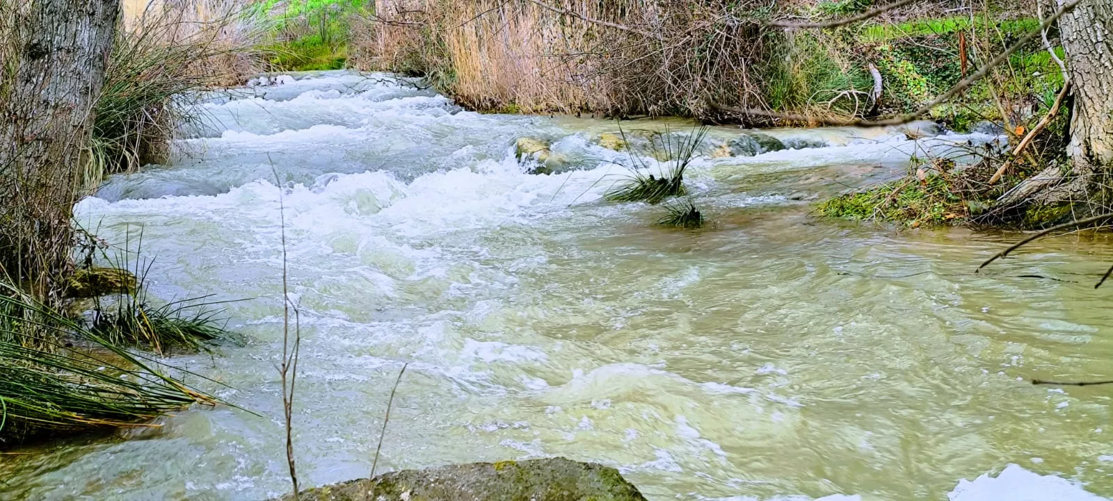 El río Isuela, a su paso por Tierz. Foto Joaquín Santafé