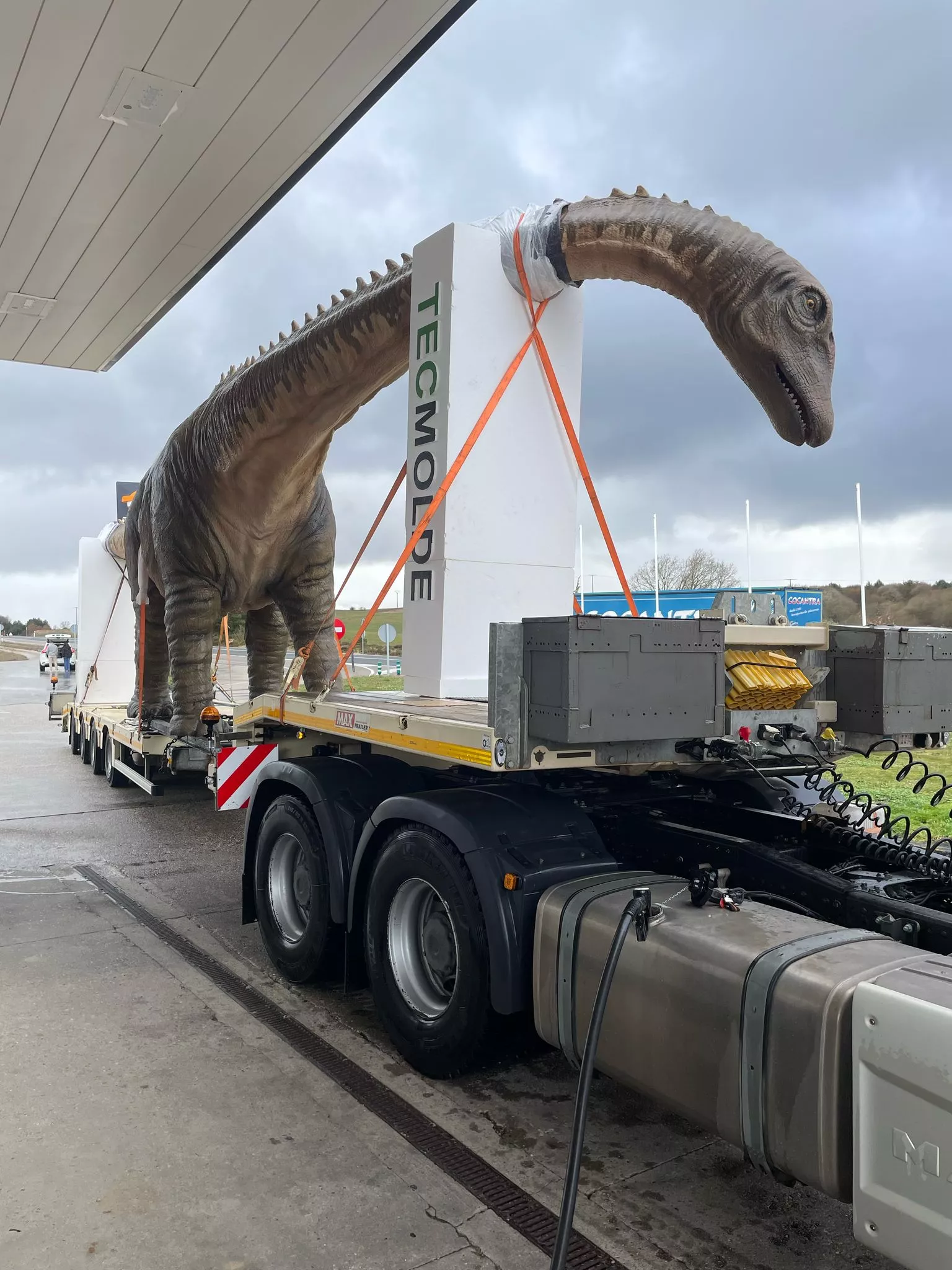 Viaje del dinosaurio de Tecmolde y Shu Digital al Museo de Colunga.