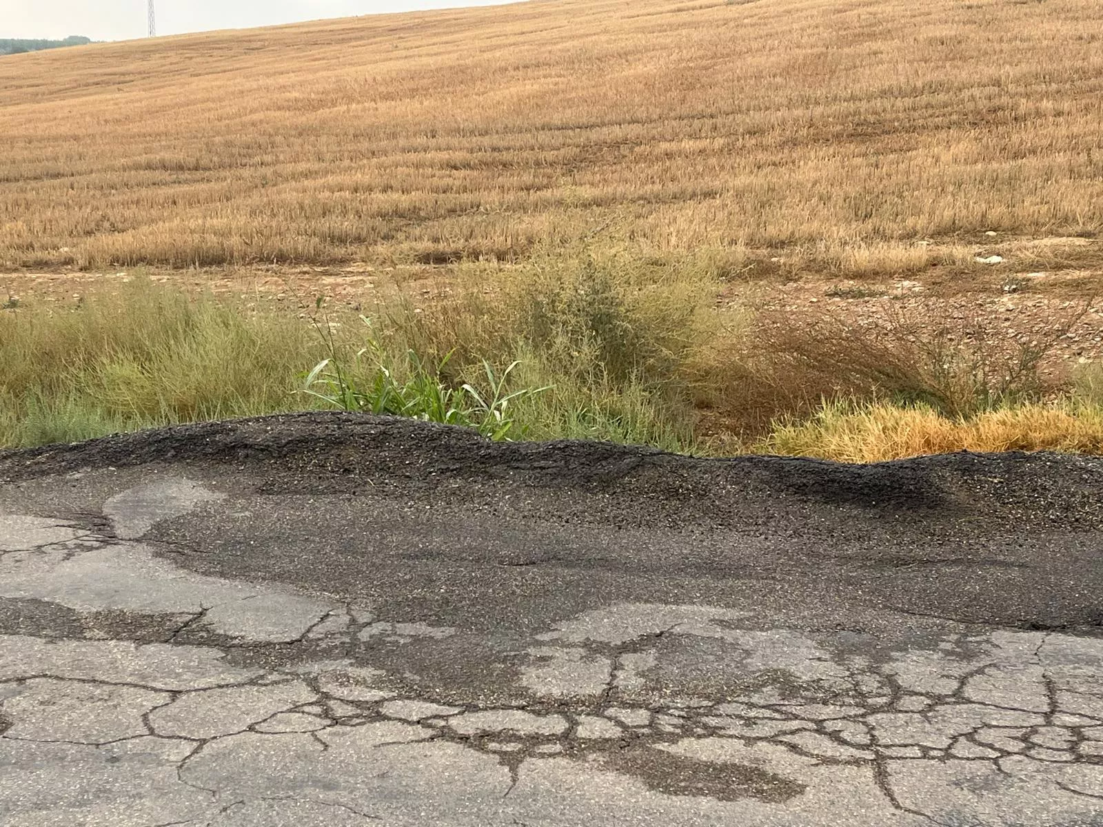 Carretera entre Albalate de Cinca y Esplús