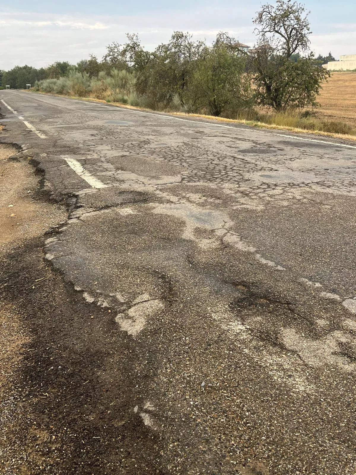 Carretera entre Albalate de Cinca y Esplús