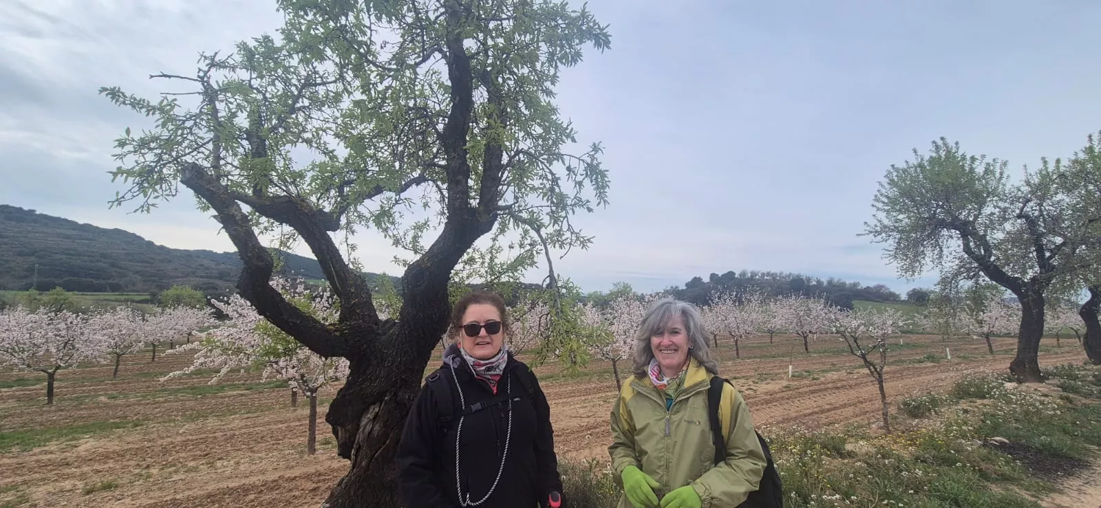 X Marcha Solidaria Nueno-Etiopía. Fotos Juanlu Herrero