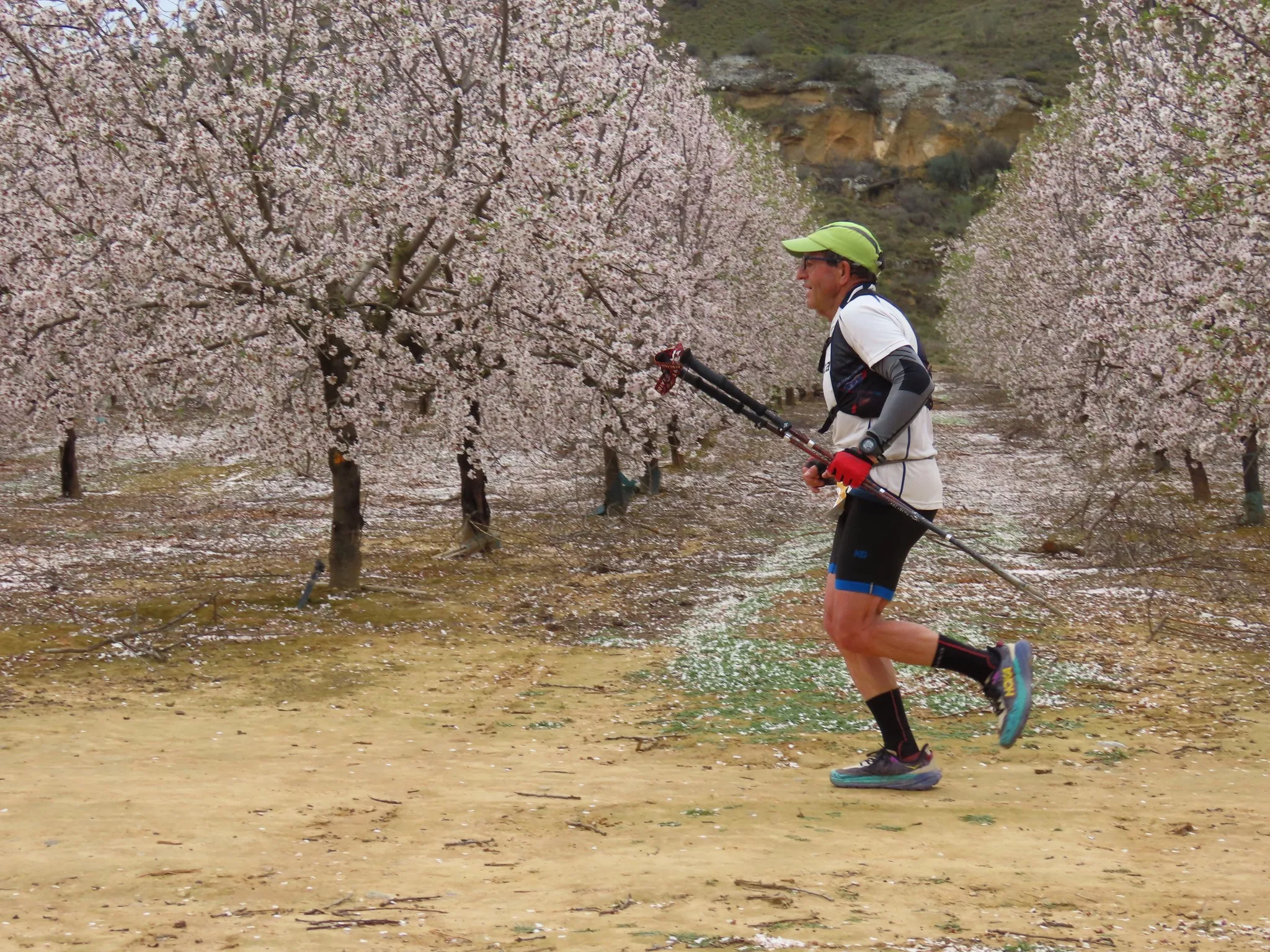 Espectacular paso en medio de la floración de almendros.