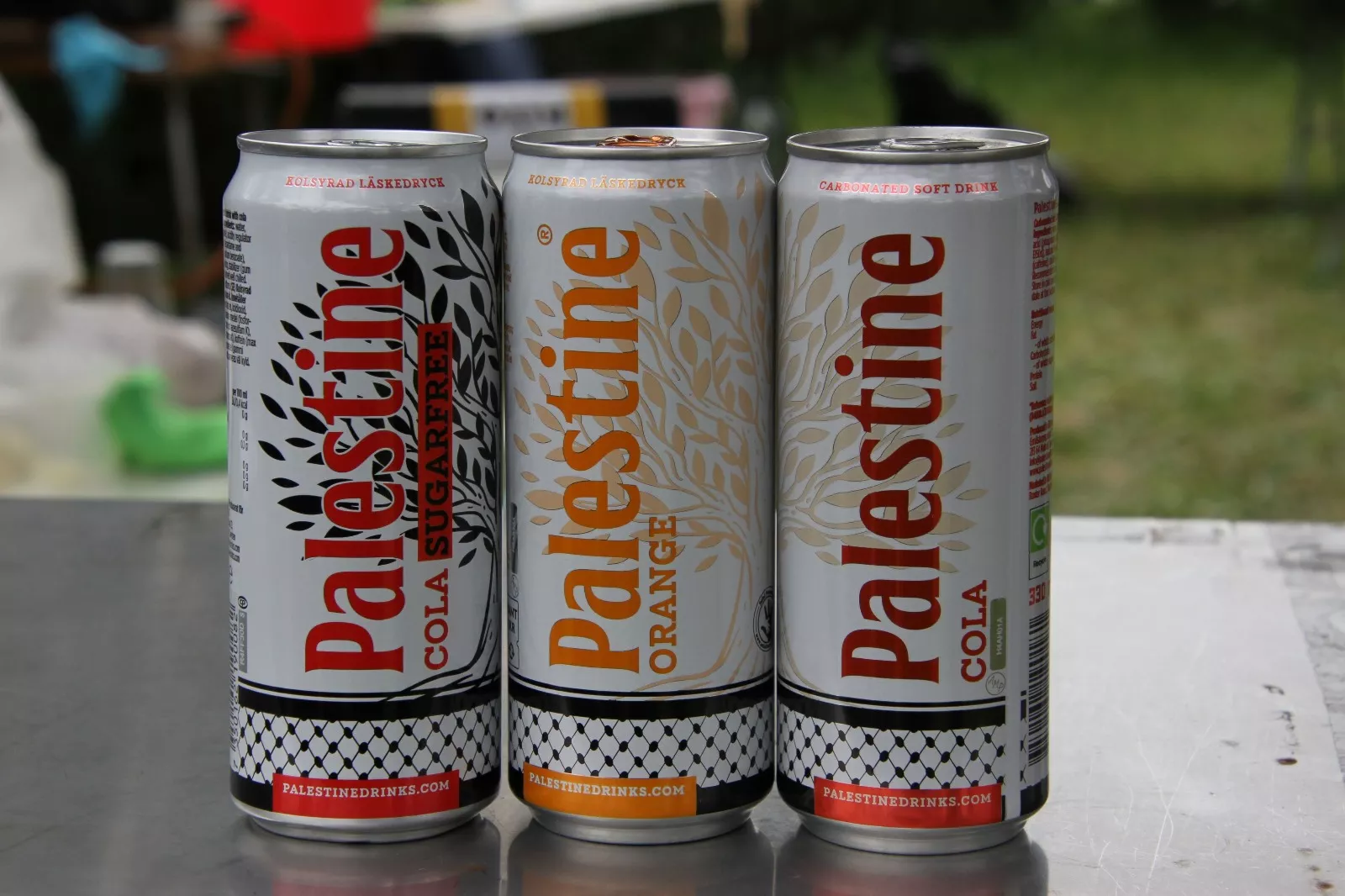 Plantación de un olivo palestino en Aínsa. Foto Carlos Neofato 