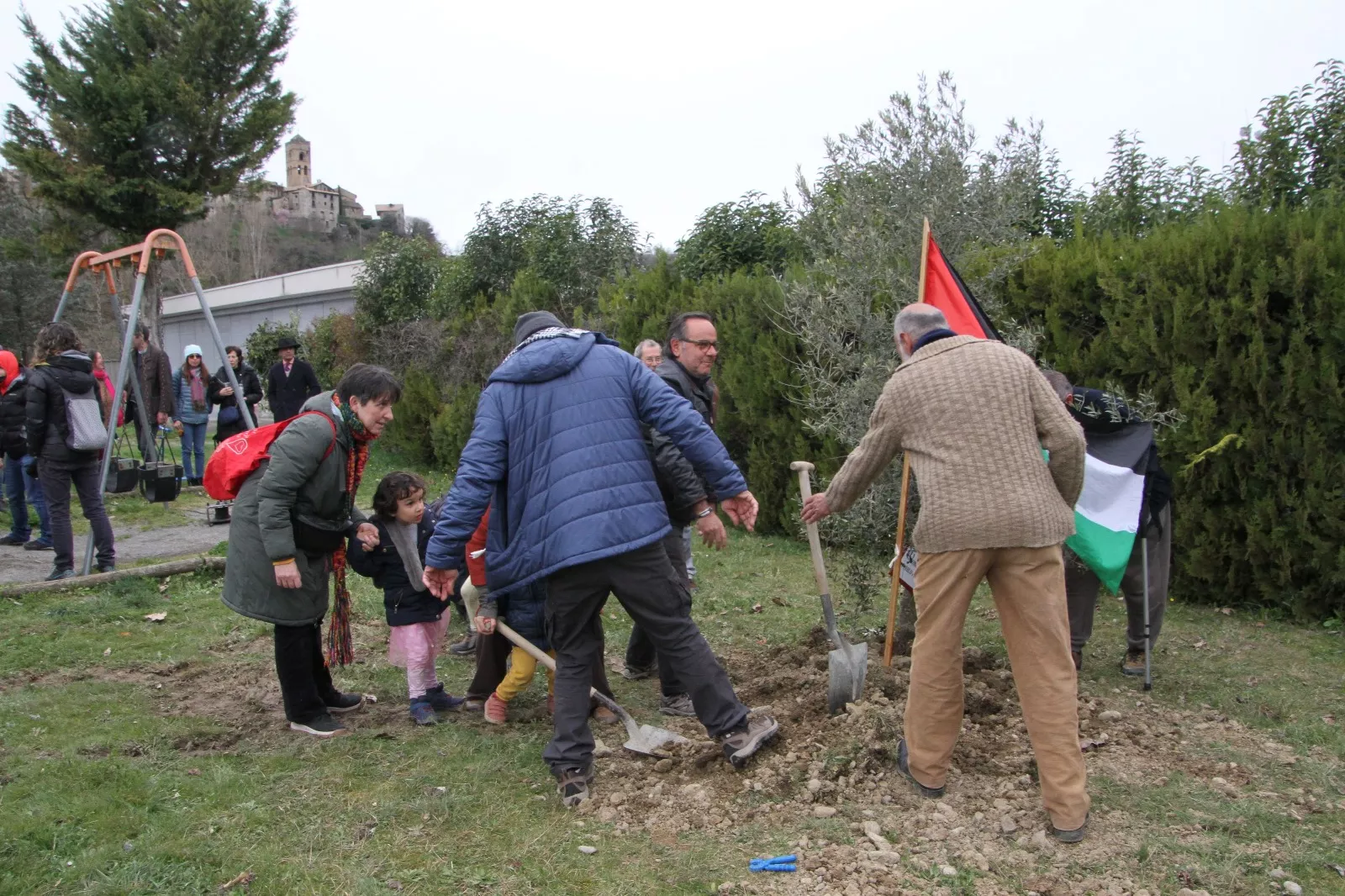 Plantación de un olivo palestino en Aínsa. Foto Carlos Neofato 