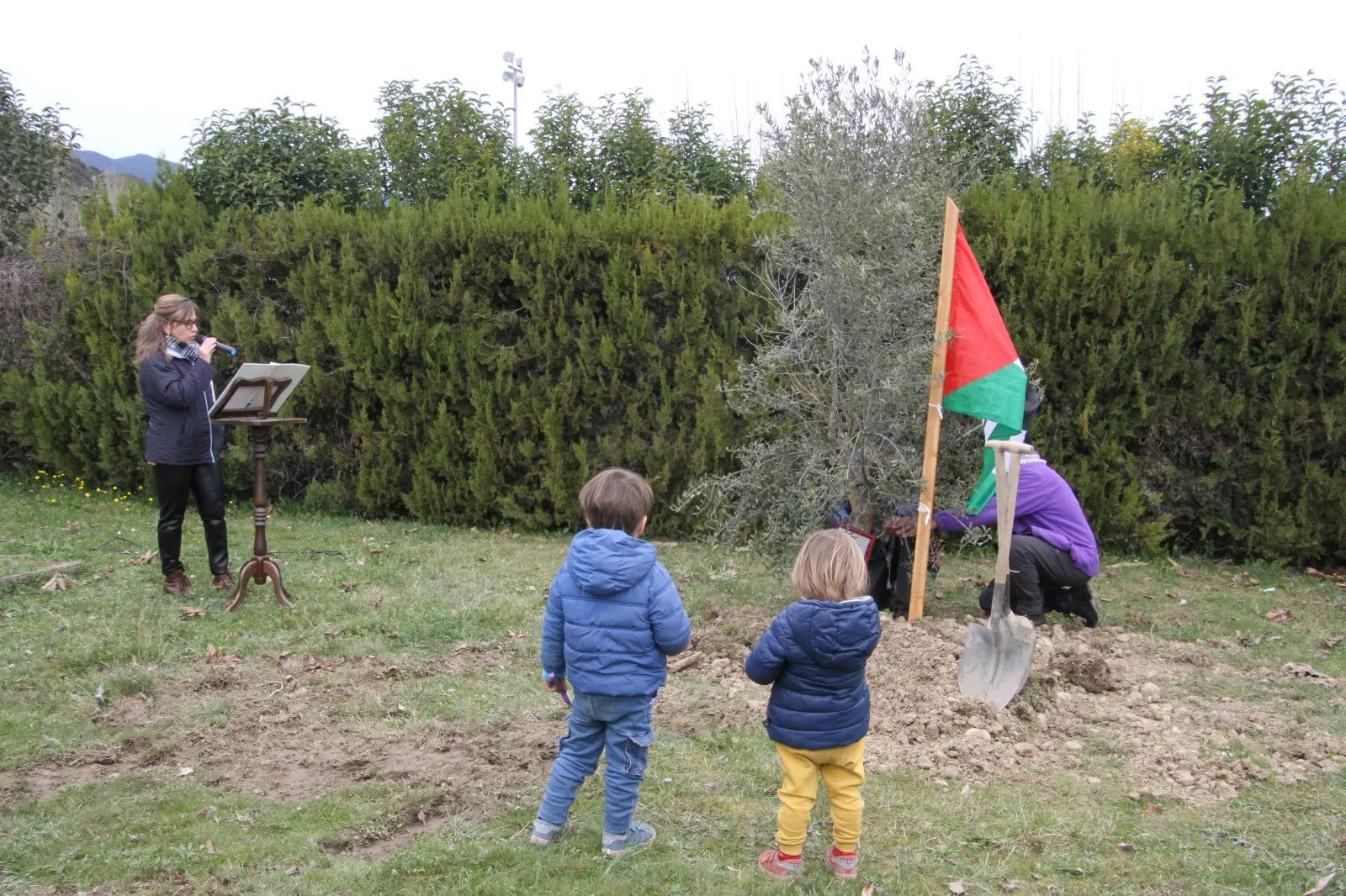 Plantación de un olivo palestino en Aínsa. Foto Carlos Neofato 
