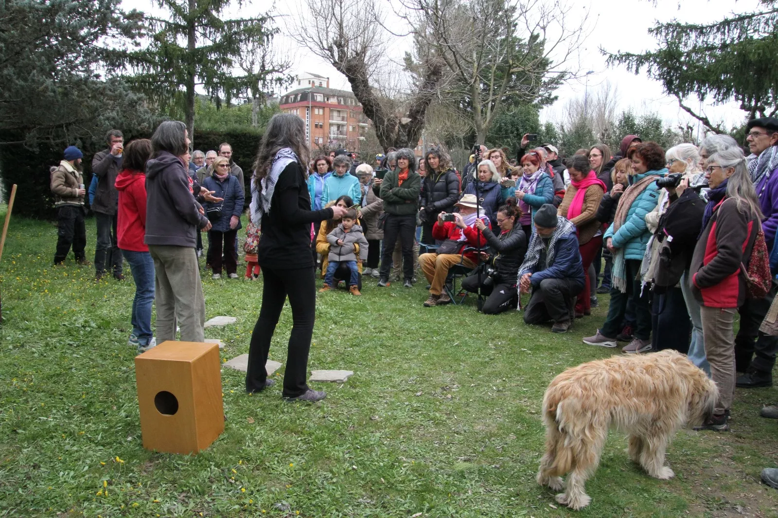 Plantación de un olivo palestino en Aínsa. Foto Carlos Neofato 