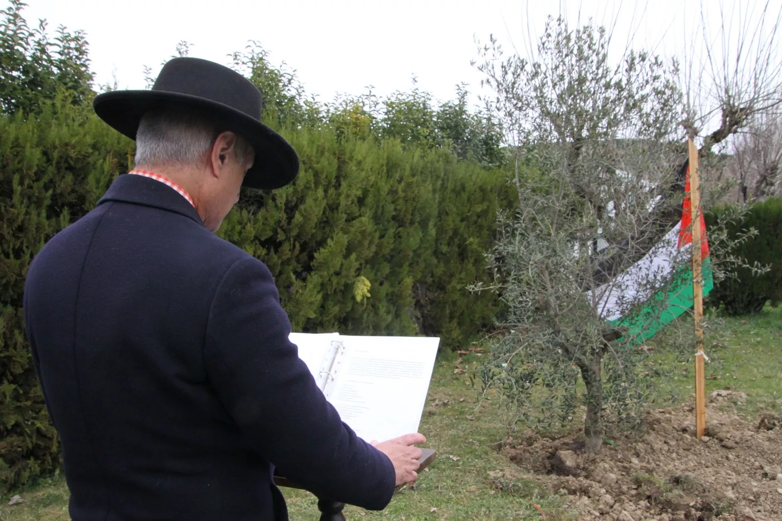 Plantación de un olivo palestino en Aínsa. Foto Carlos Neofato 