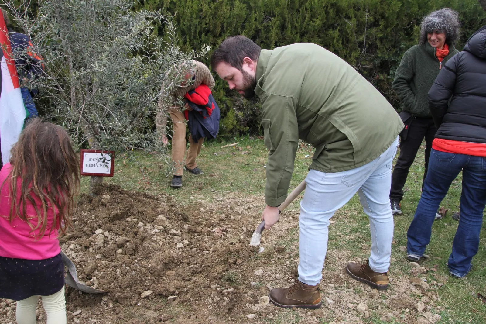 Plantación de un olivo palestino en Aínsa. Foto Carlos Neofato 