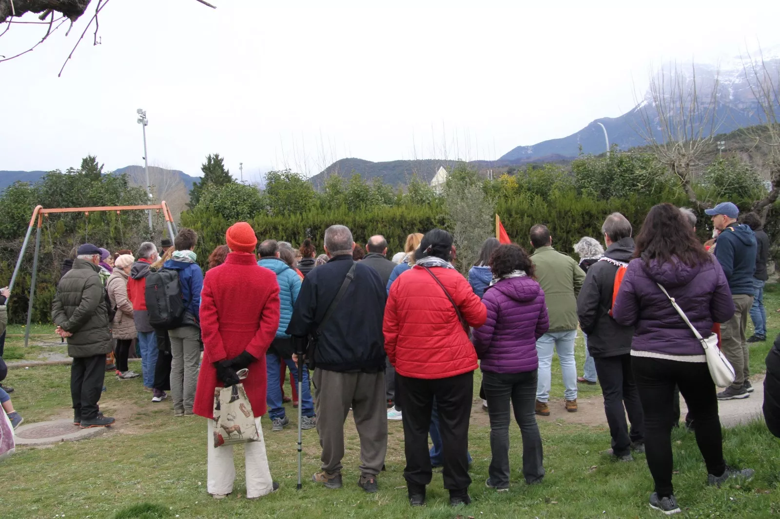 Plantación de un olivo palestino en Aínsa. Foto Carlos Neofato 