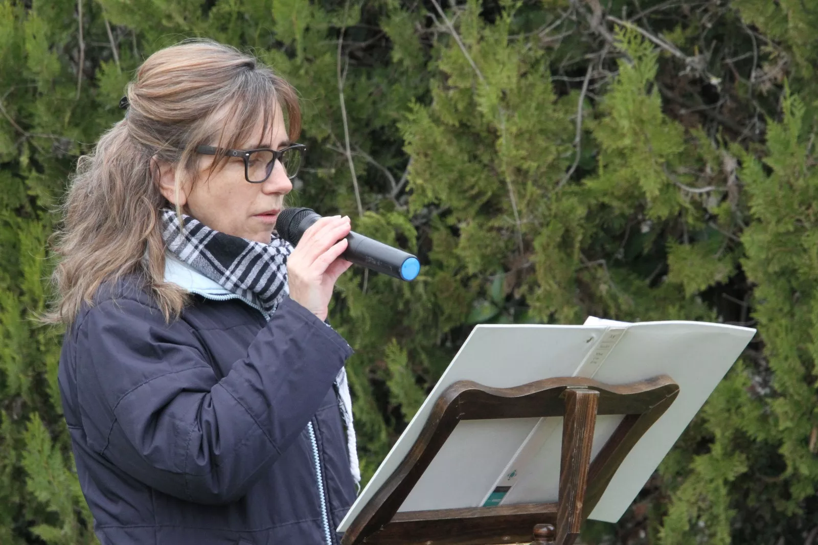 Plantación de un olivo palestino en Aínsa. Foto Carlos Neofato 