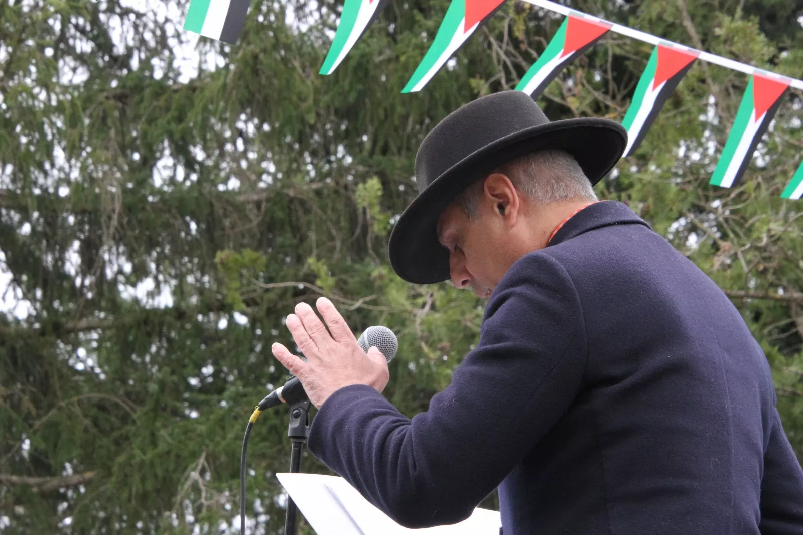 Plantación de un olivo palestino en Aínsa. Foto Carlos Neofato 