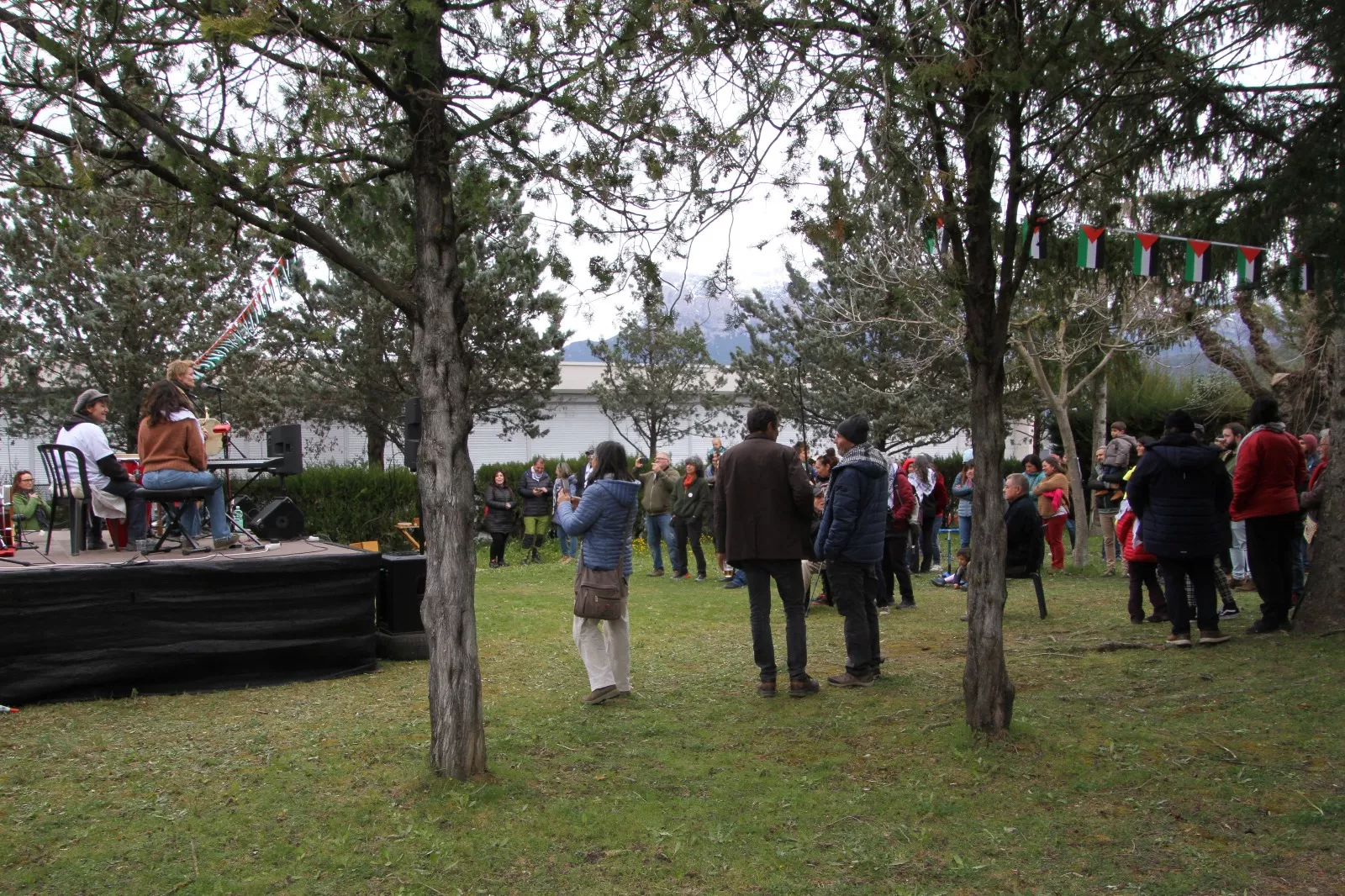 Plantación de un olivo palestino en Aínsa. Foto Carlos Neofato 