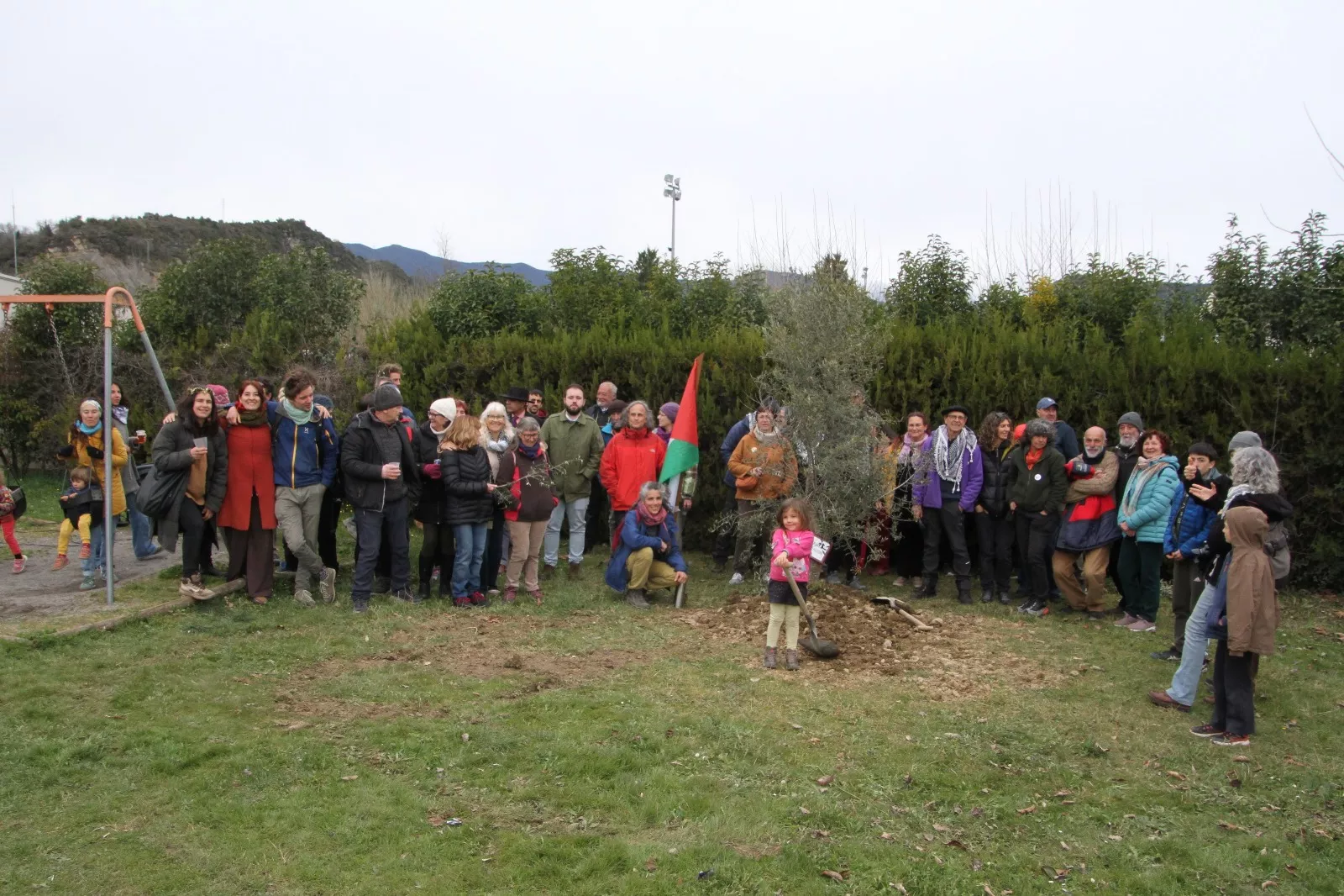 Plantación de un olivo palestino en Aínsa. Foto Carlos Neofato 