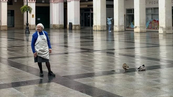 WhatsApp Image 2025 03 18 at 17.40.05