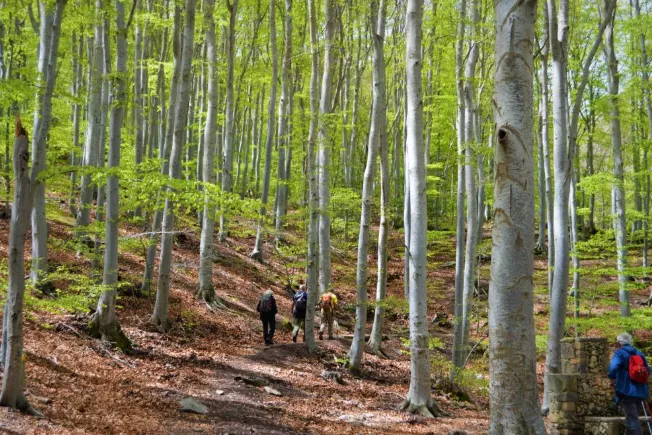 La Red Natural de Aragón ofrece un programa de experiencias en espacios protegidos.