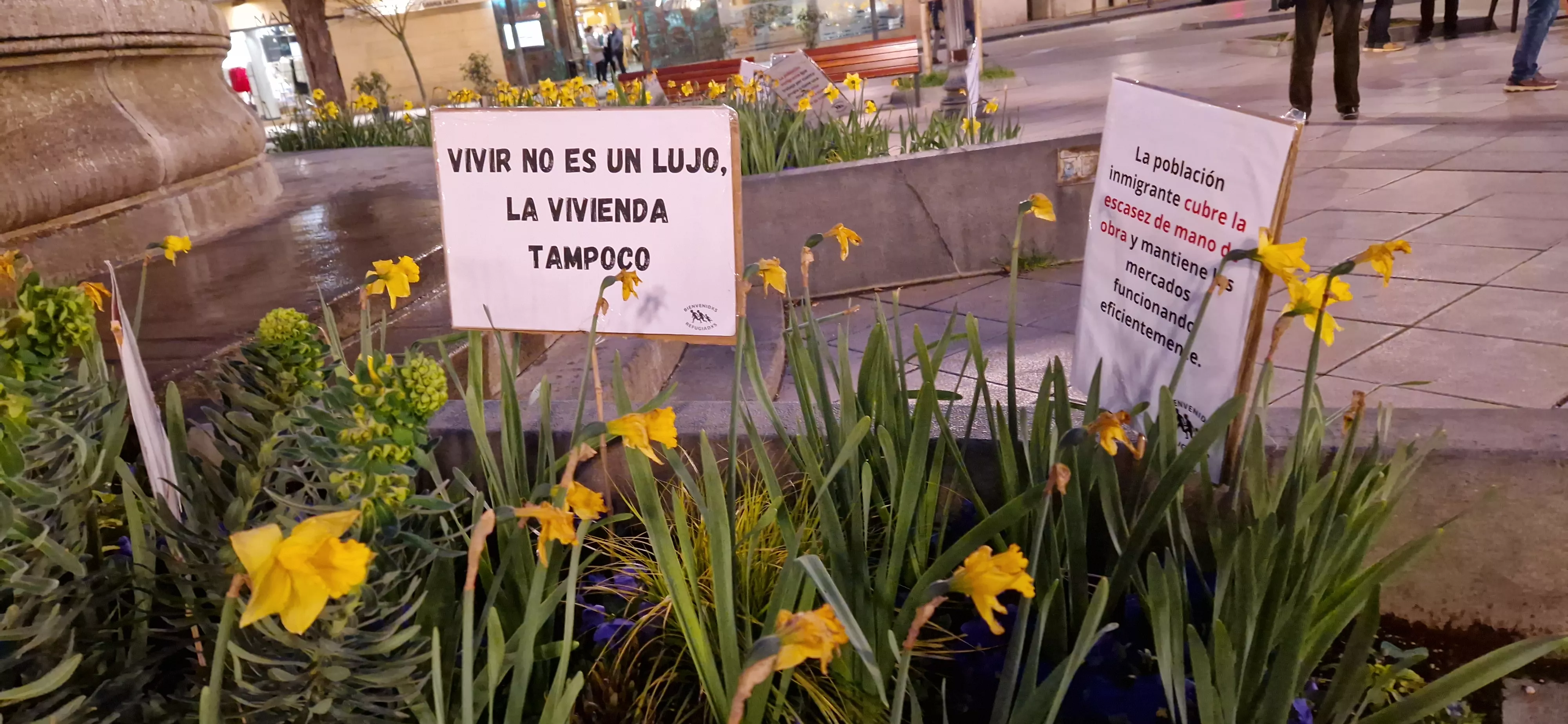 Día de la Eliminación de la Discriminación Racial. Foto Myriam Martínez