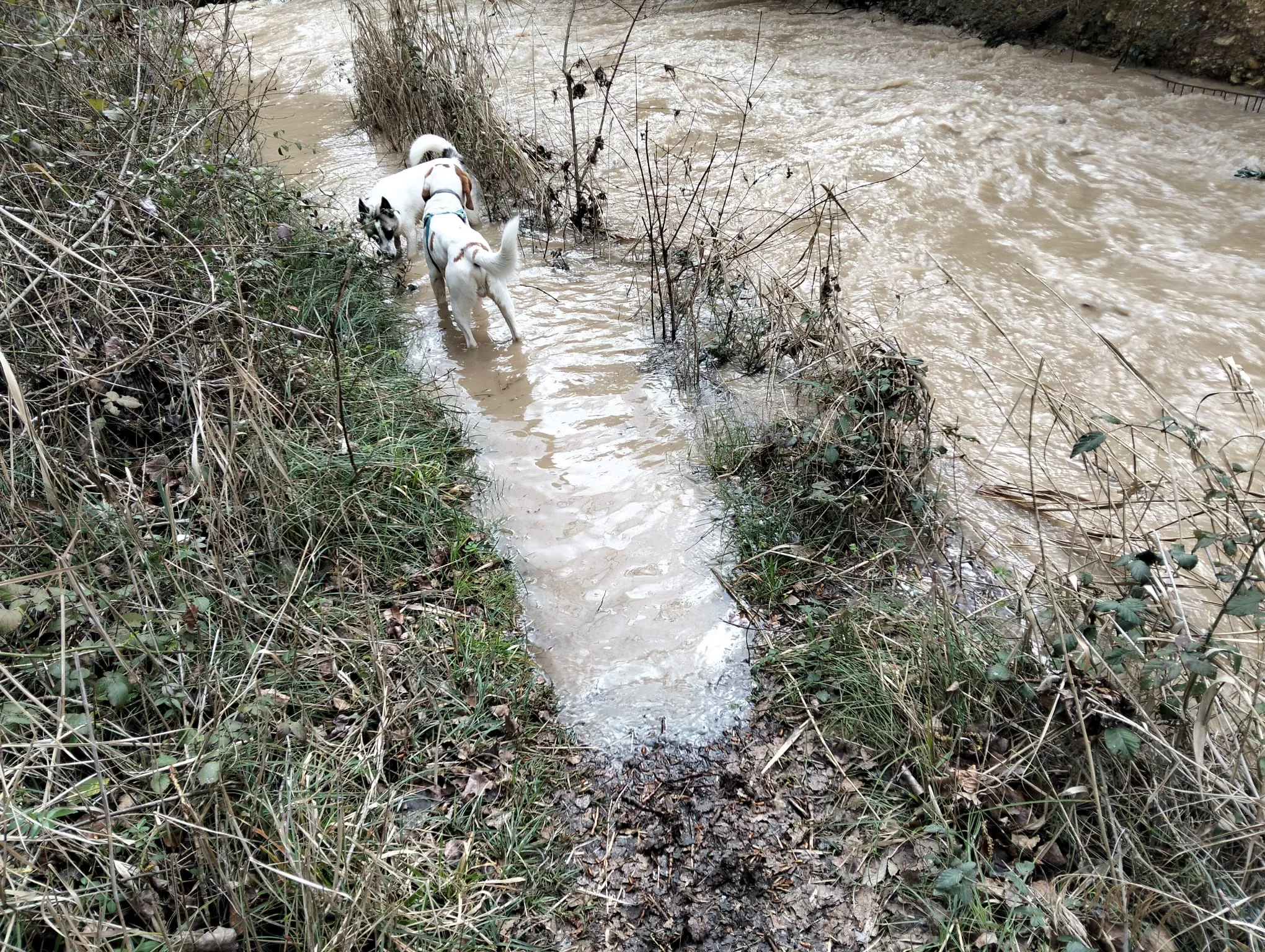 Accesos a las Fuentes de Marcelo tras las últimas lluvias.