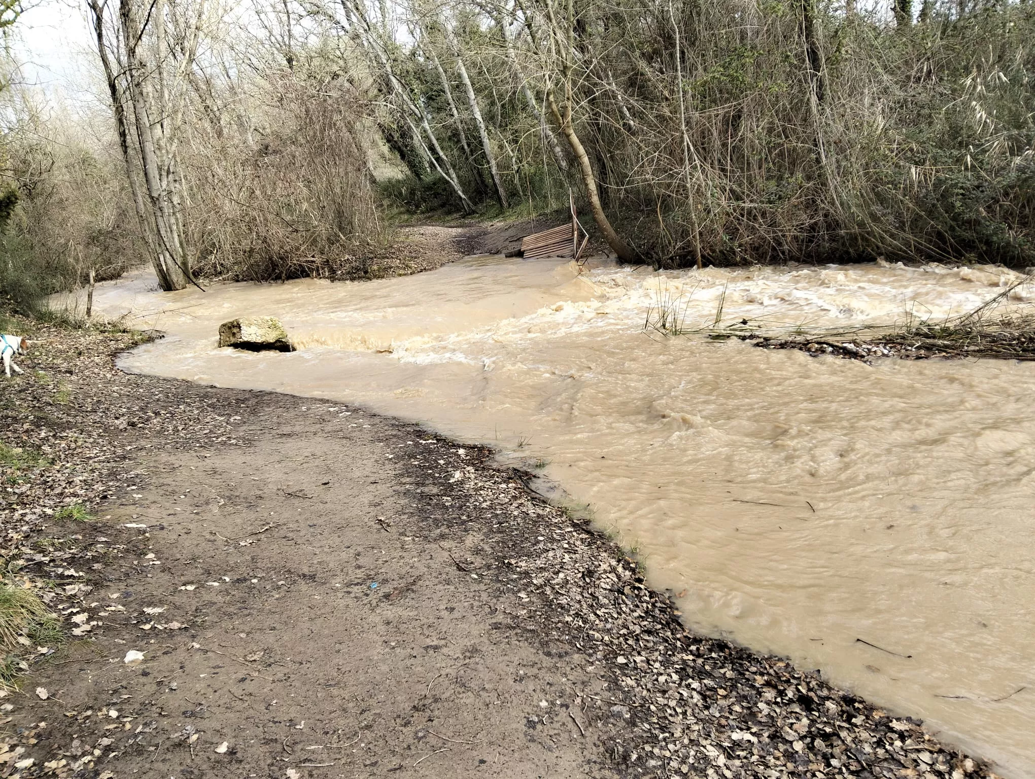 Accesos a las Fuentes de Marcelo tras las últimas lluvias.