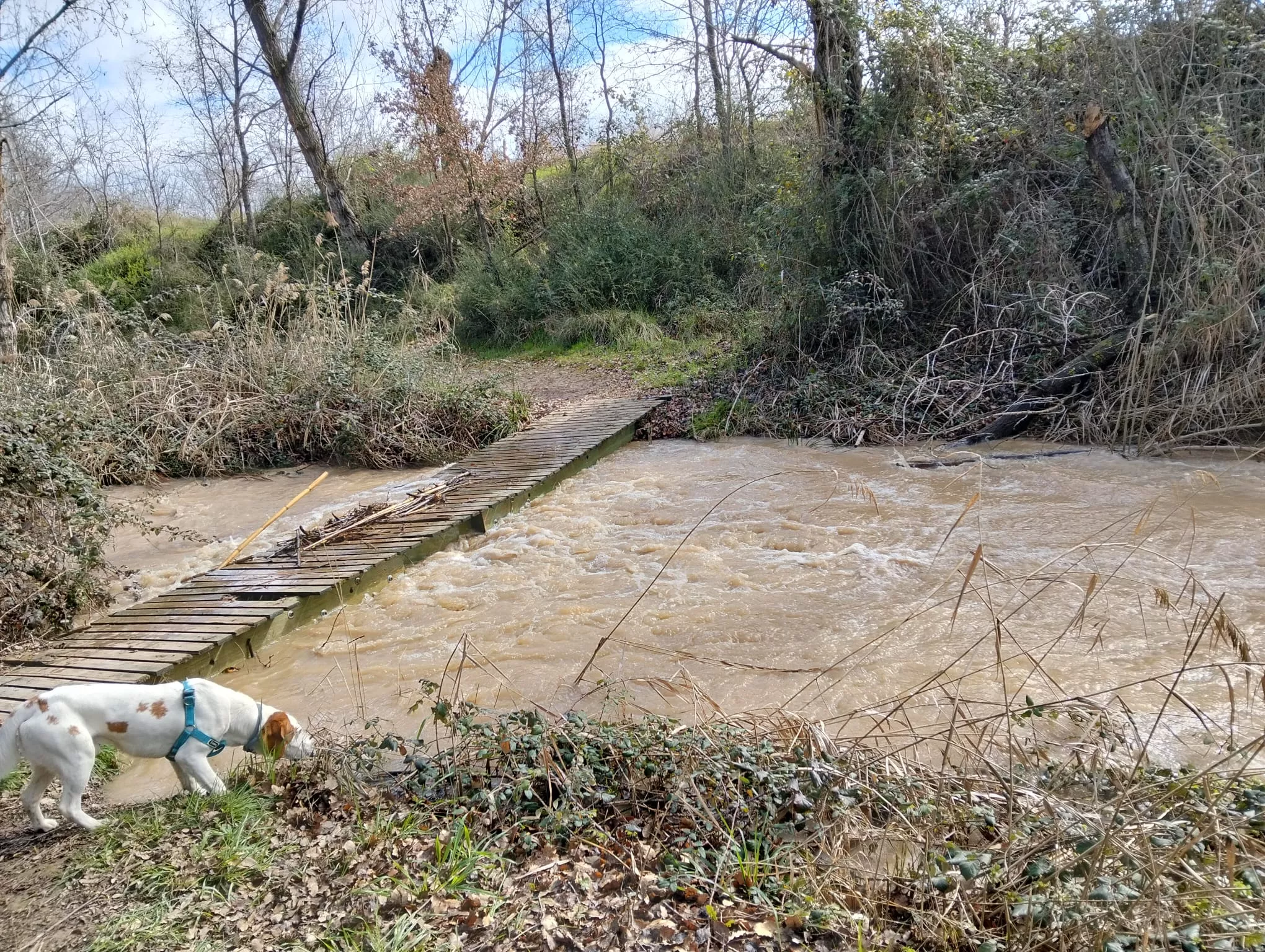 Accesos a las Fuentes de Marcelo tras las últimas lluvias.