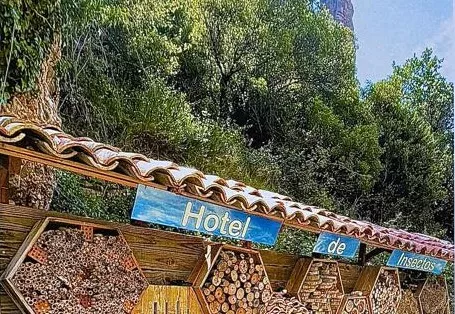 Jornada Ornitológica en Agüero