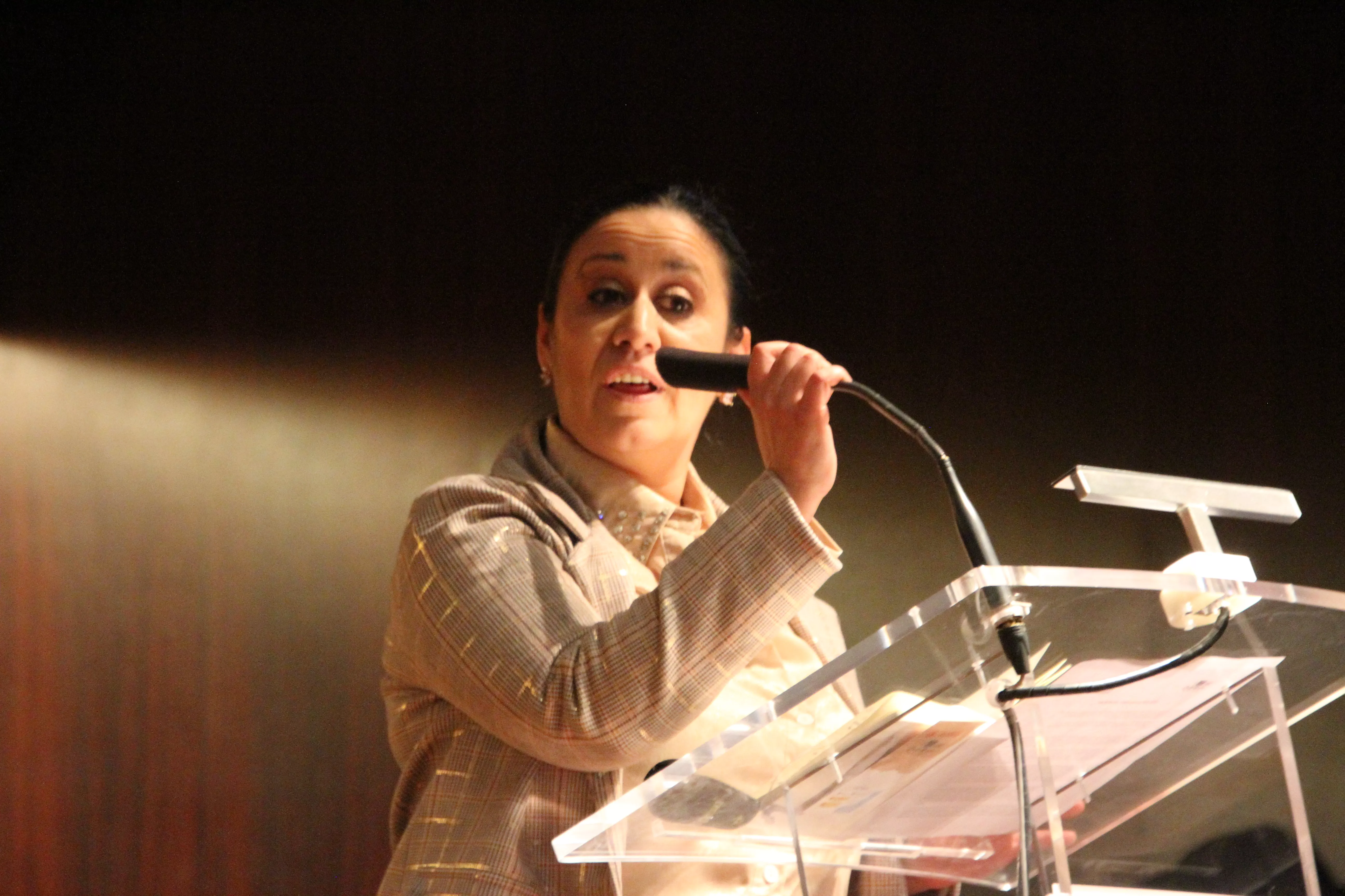 Celebración en Huesca del 600 aniversario de la llegada del pueblo gitano a España. Foto: Carlos Neofato
