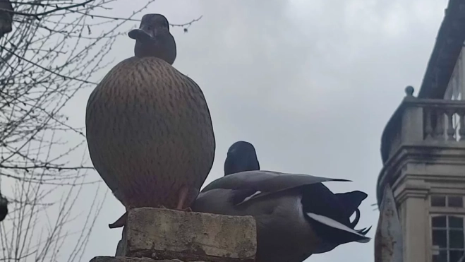 Imagen de WhatsApp 2025 04 05 a las 21.59.13 6849ffa1