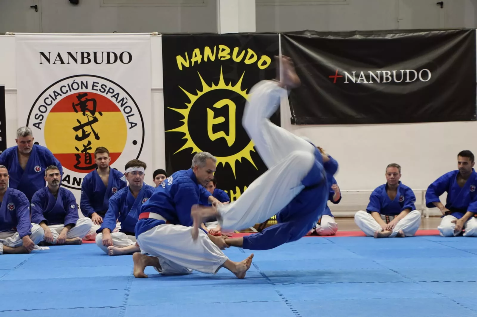 Stage Internacional de Nanbudo en Huesca.