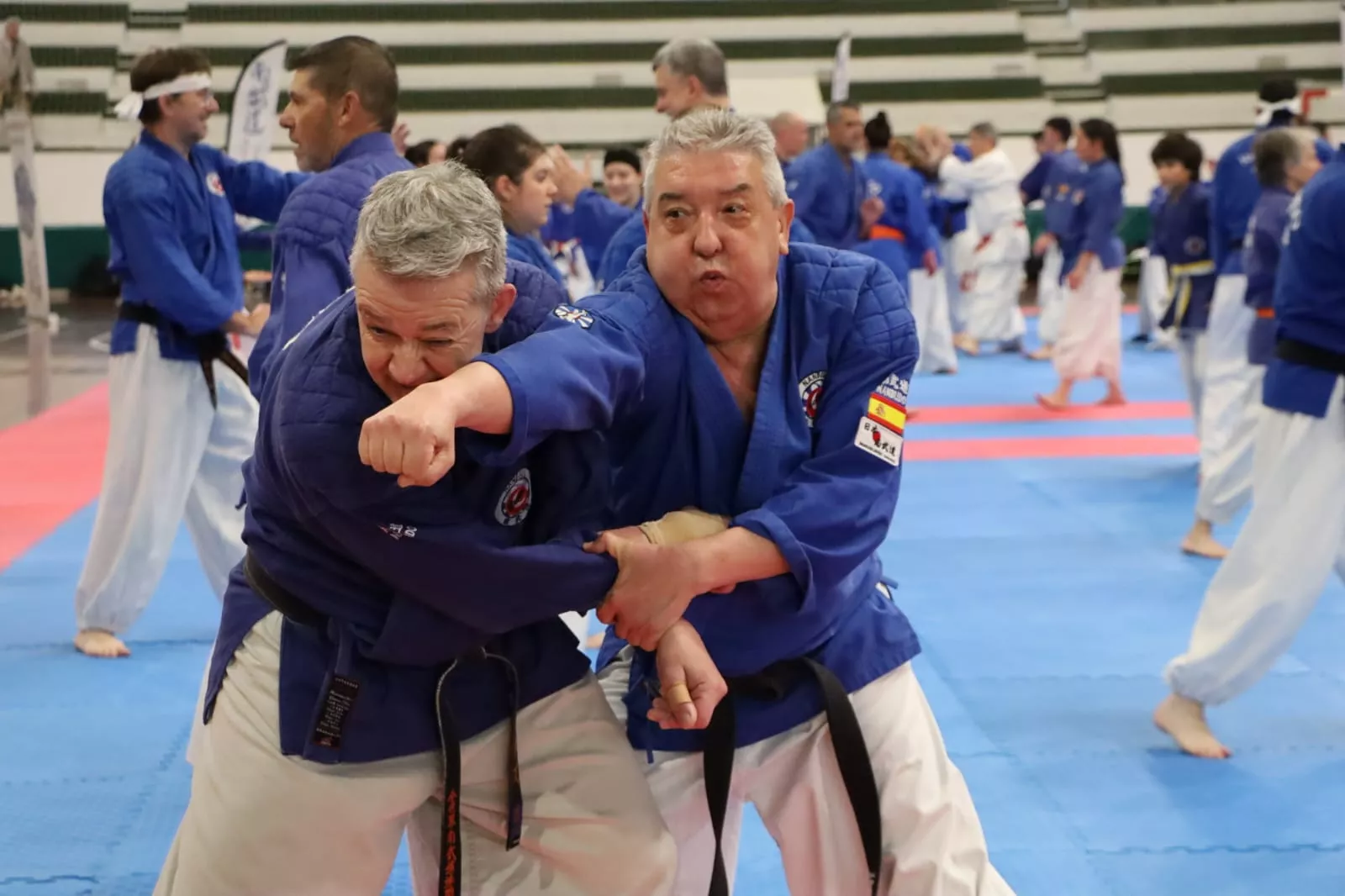 Stage Internacional de Nanbudo en Huesca.