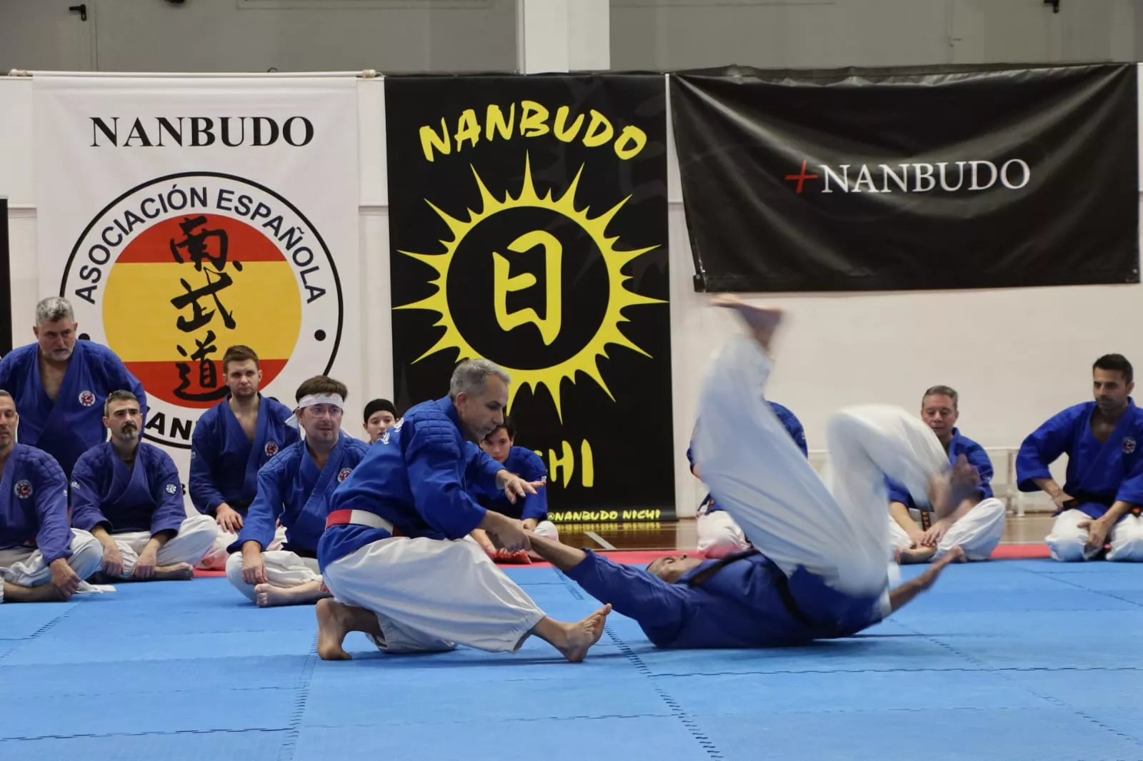 Stage Internacional de Nanbudo en Huesca.