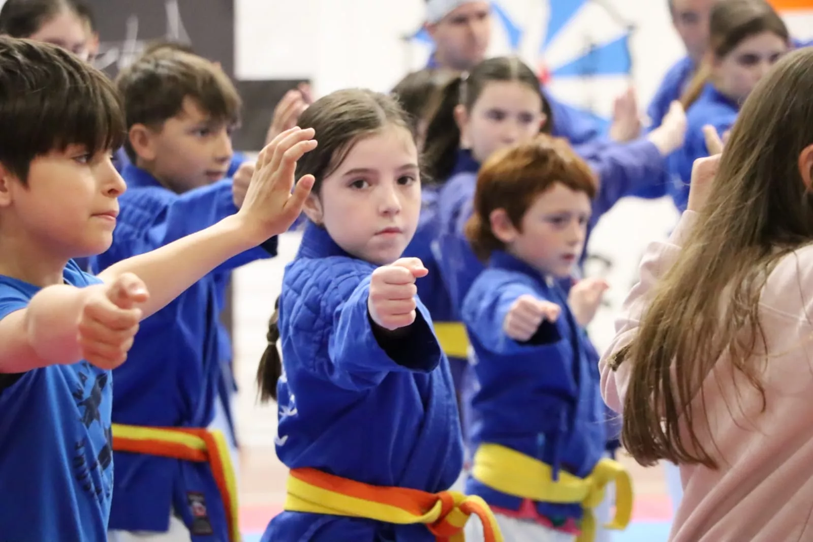 Stage Internacional de Nanbudo en Huesca.