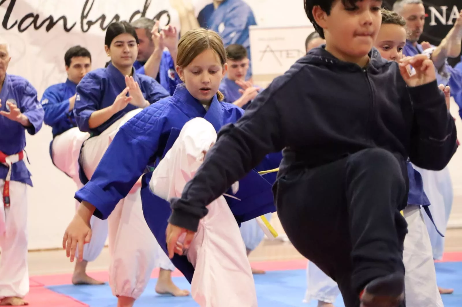 Stage Internacional de Nanbudo en Huesca.