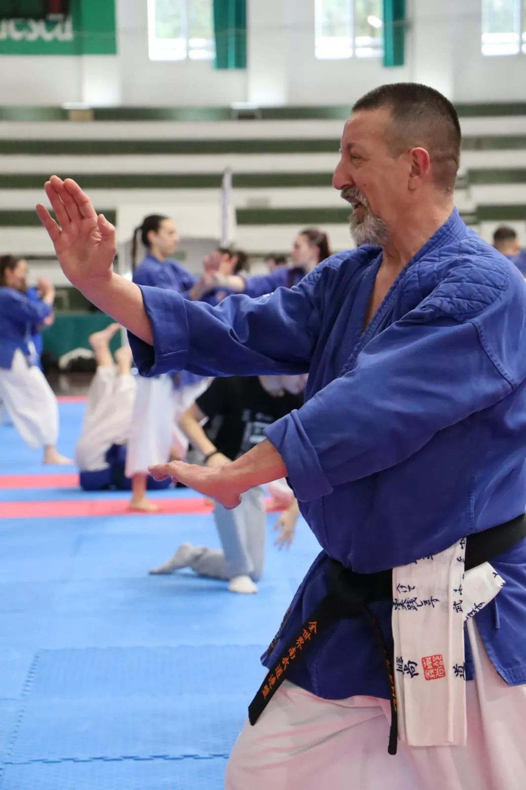 Stage Internacional de Nanbudo en Huesca.
