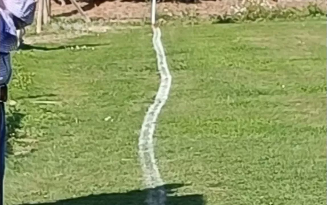 Pintar el campo de El Temple con renglones torcidos