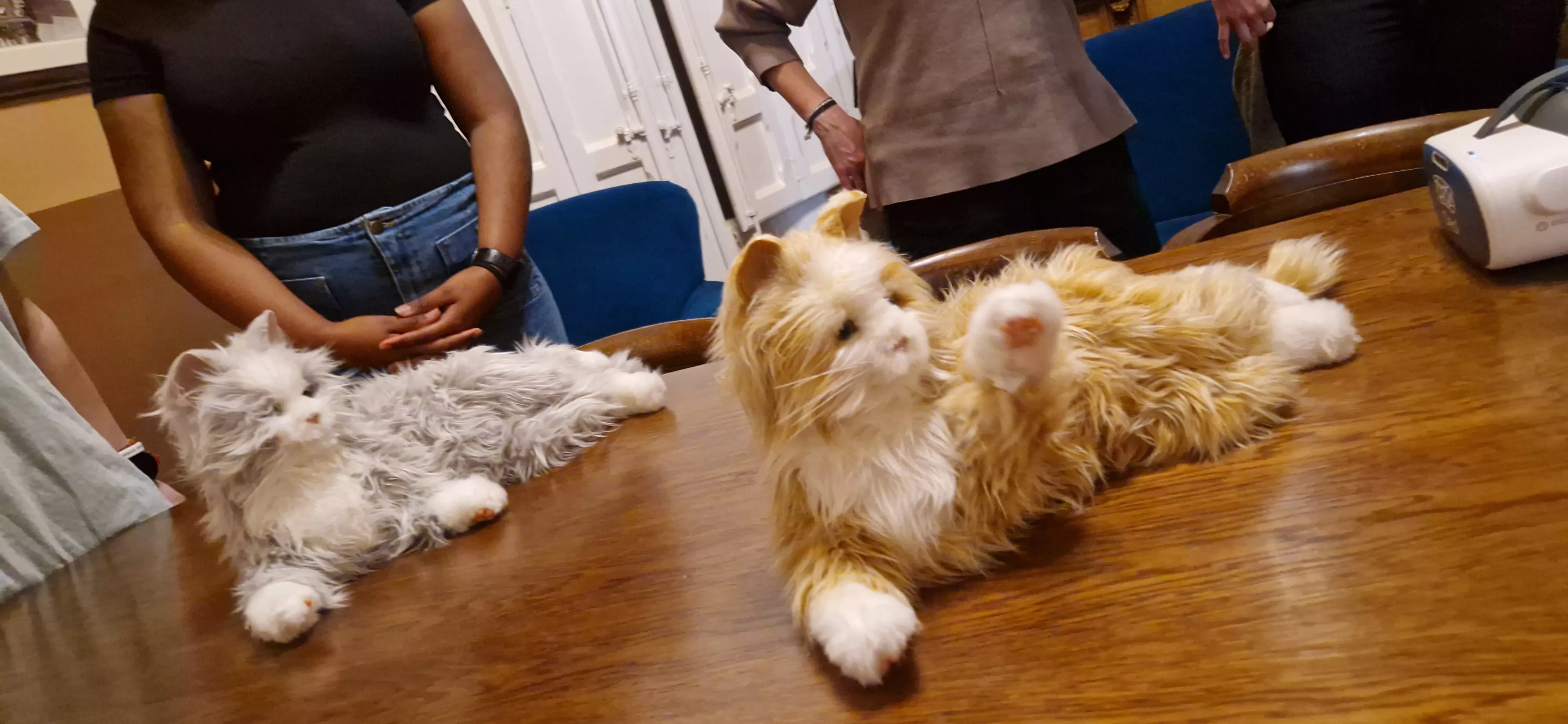 Segunda sesión del programa "Mayores y juguetones". Foto Myriam Martínez