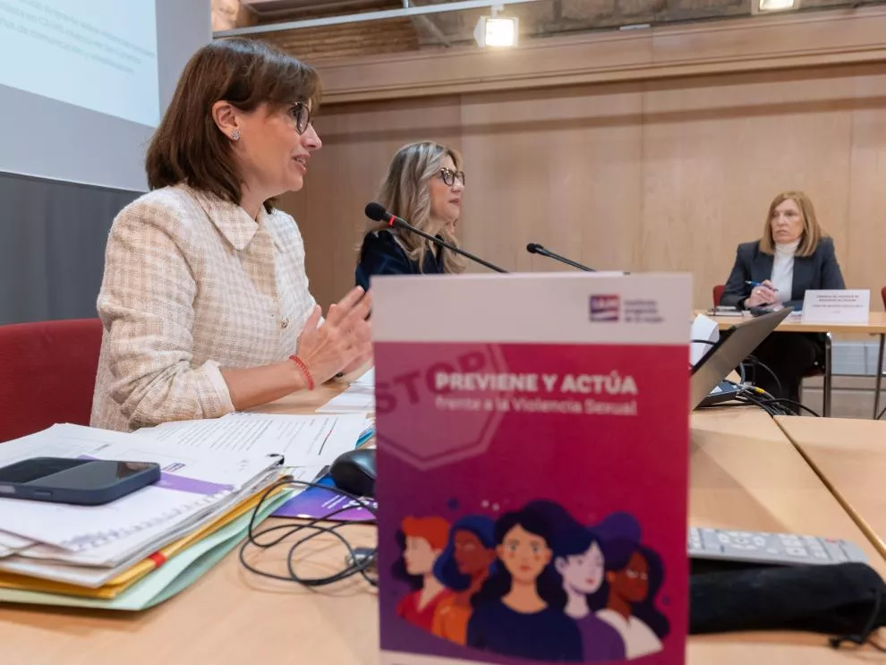 El Observatorio Aragonés de Violencia sobra la Mujer ha recuperado sus sesiones. Foto Fabián Simón