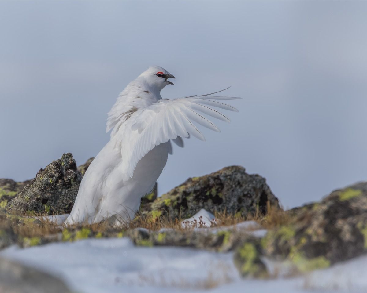 “Reliquia Glaciar”, de David García Malo, ganadora del Premio Internacional de Fotografía David Gómez Samitier 
