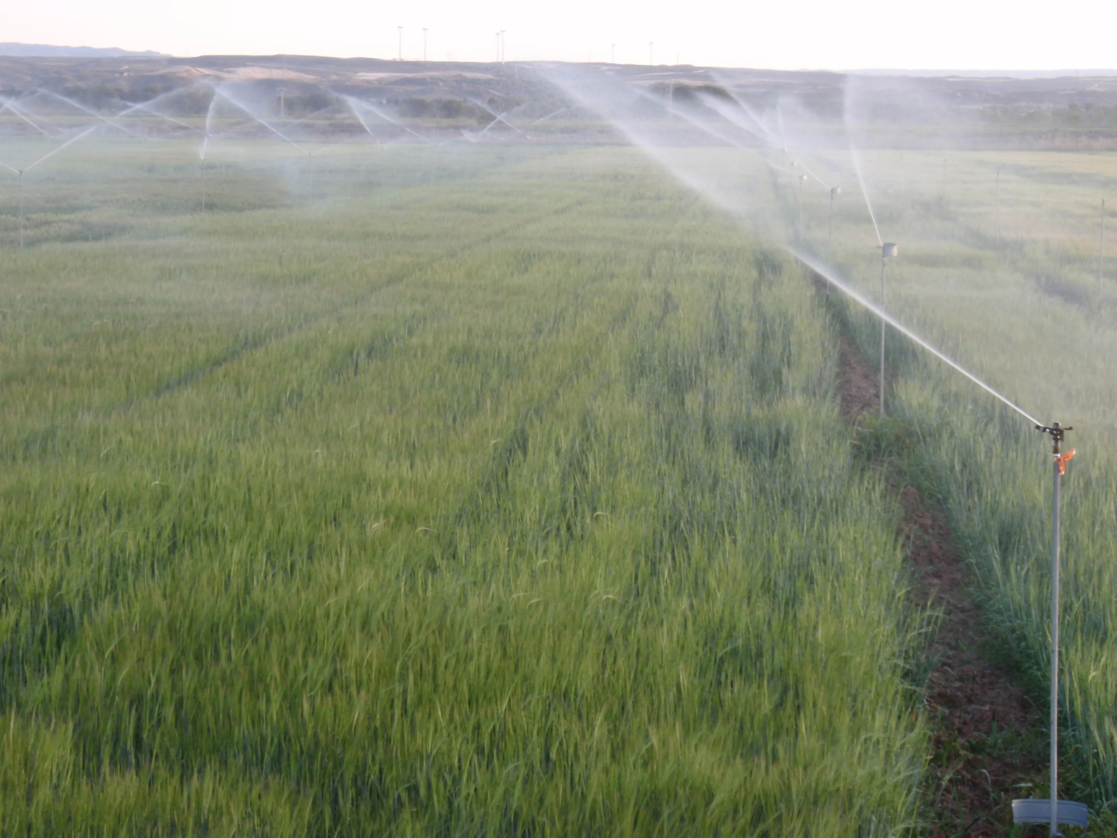 La Oficina del Regante logra un ahorro del 36 % en el coste eléctrico para sus usuarios.