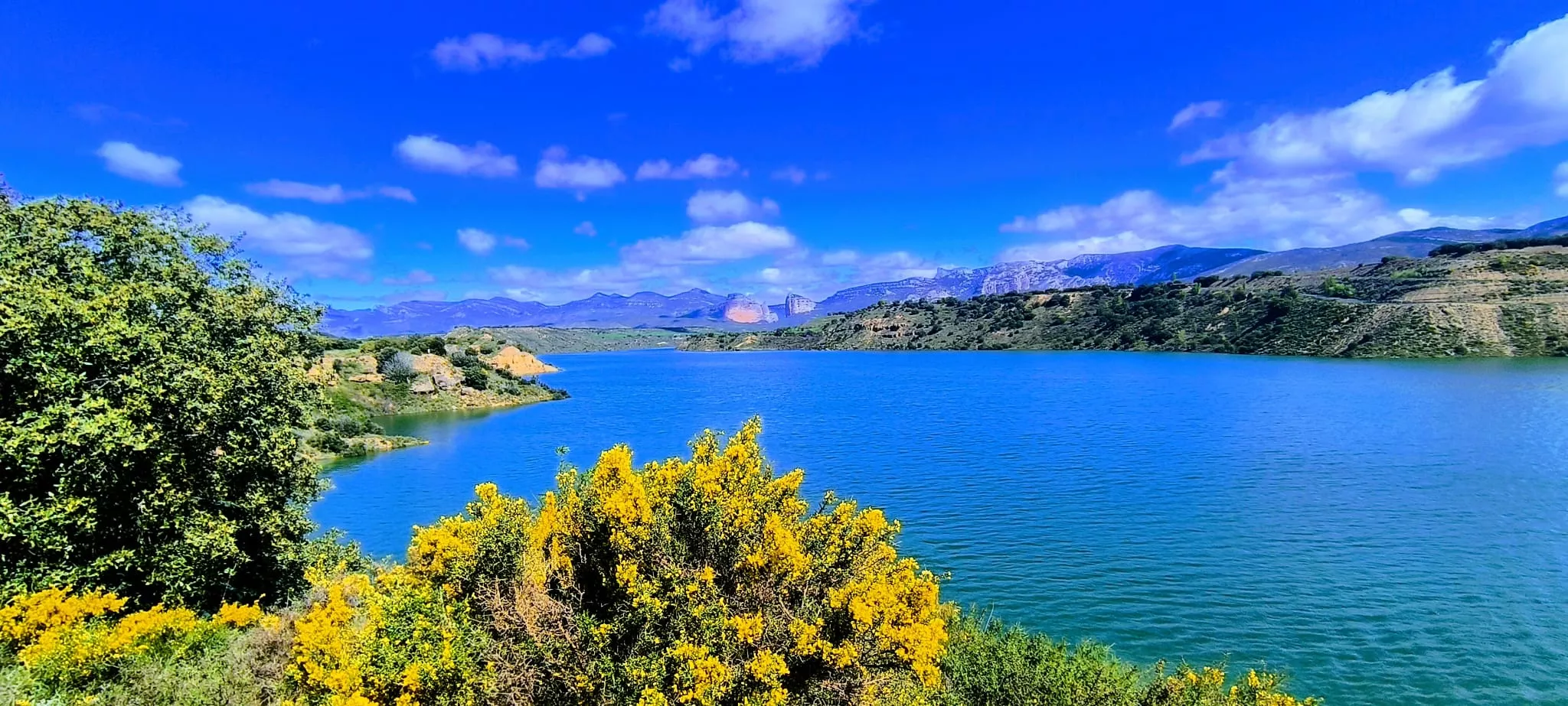 Embalse de Montearagón. Foto Joaquín Santafé
