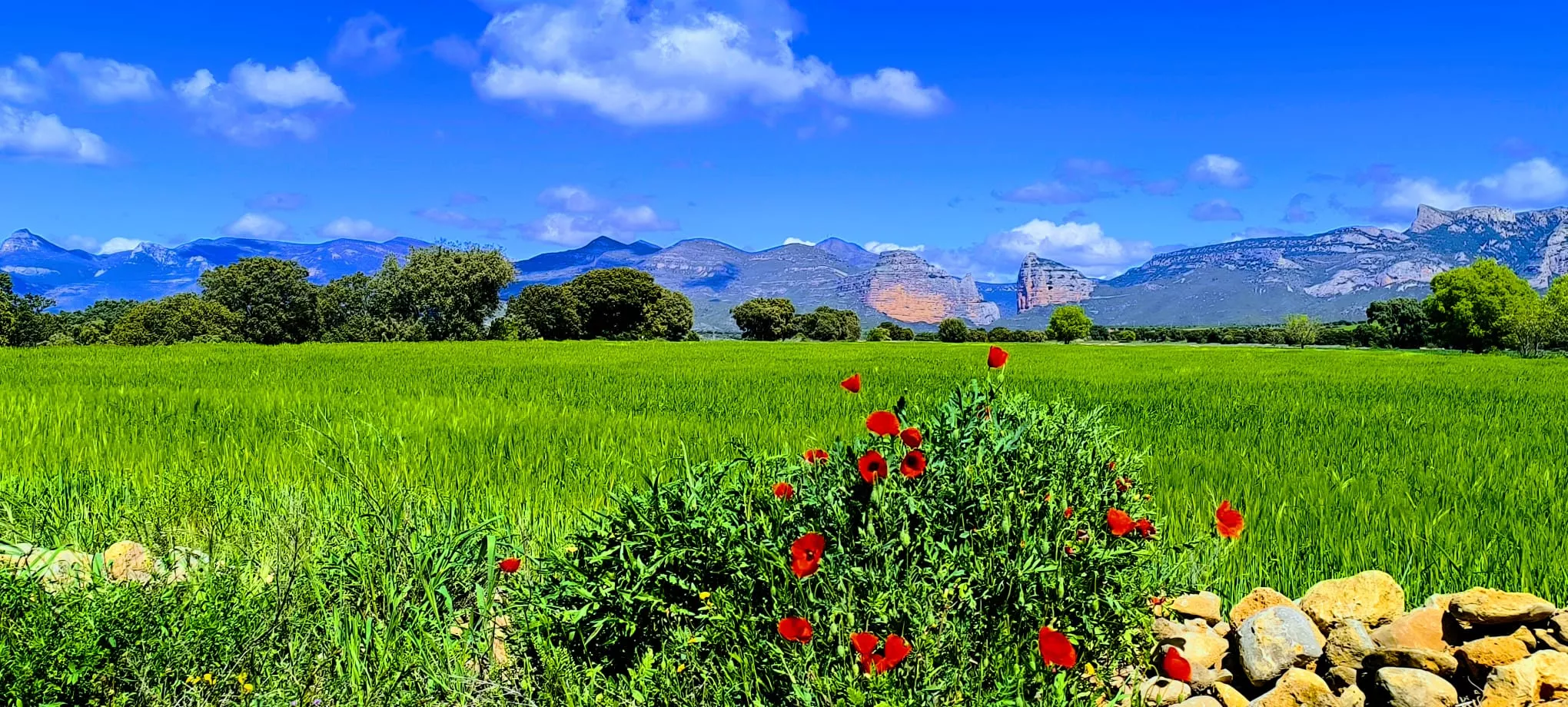 Embalse de Montearagón. Foto Joaquín Santafé