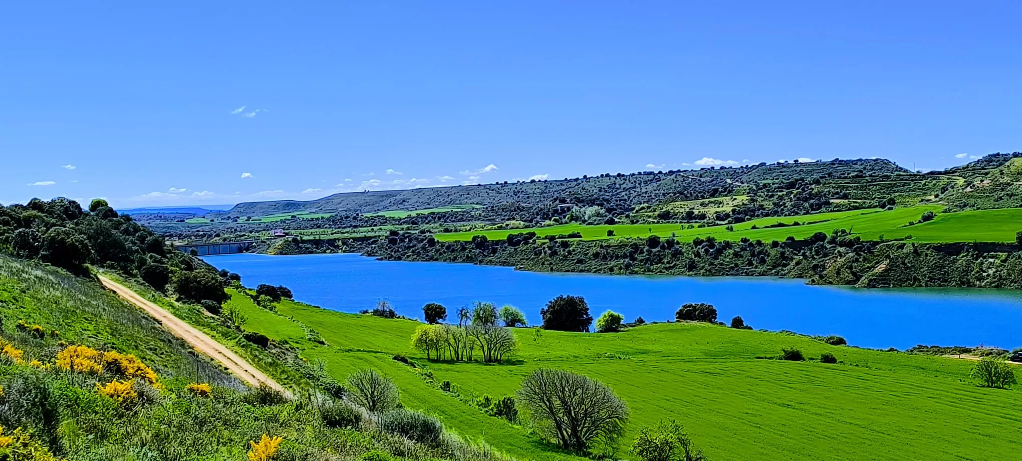 Embalse de Montearagón. Foto Joaquín Santafé