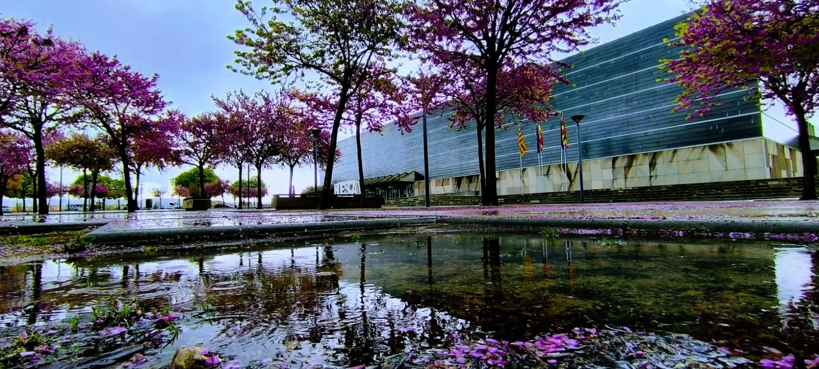 Palacio de Congresos. La lluvia ha caído con fuerza en la ciudad de Huesca. Foto Joaquín Santafé