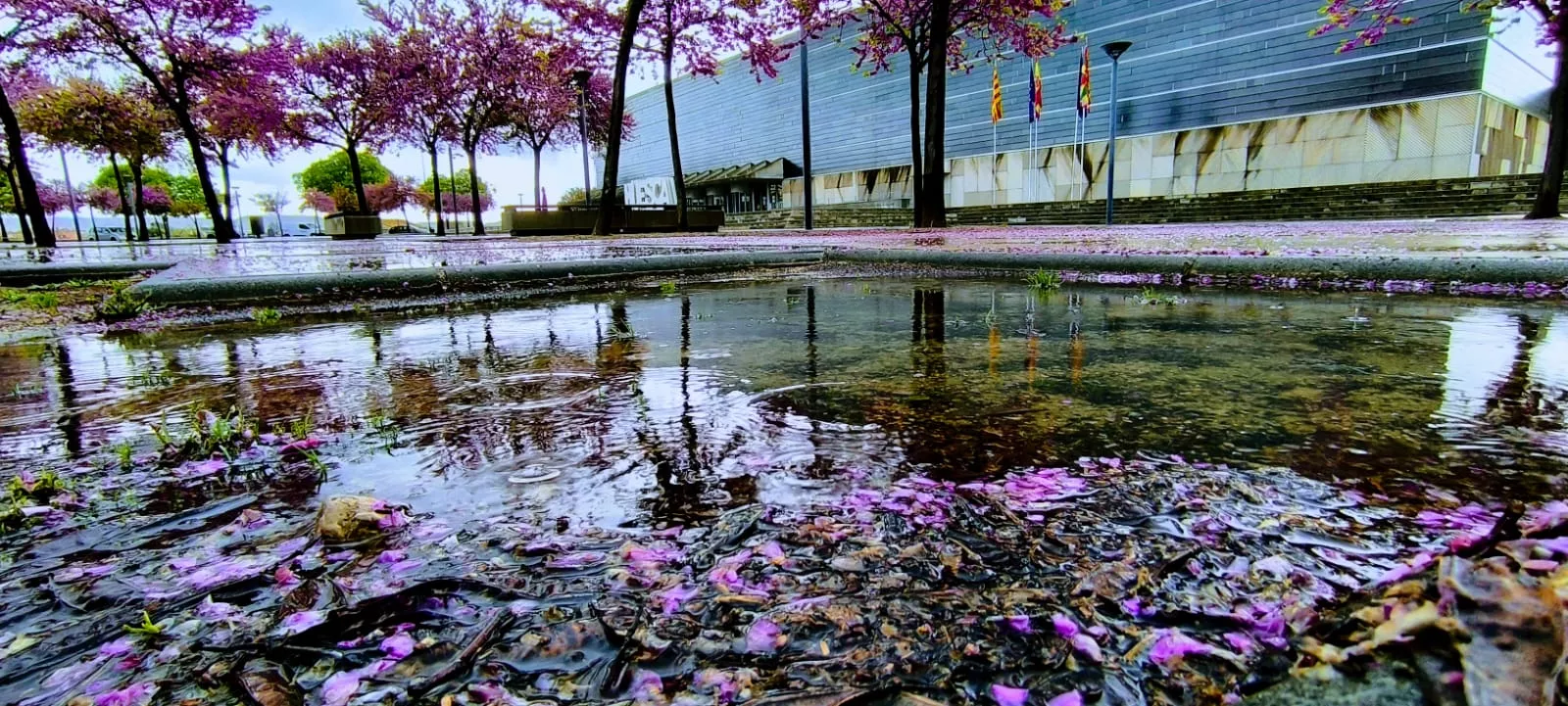 Aviso naranja por lluvias intensas y tormentas en toda la provincia de Huesca. Foto Joaquín Santafé