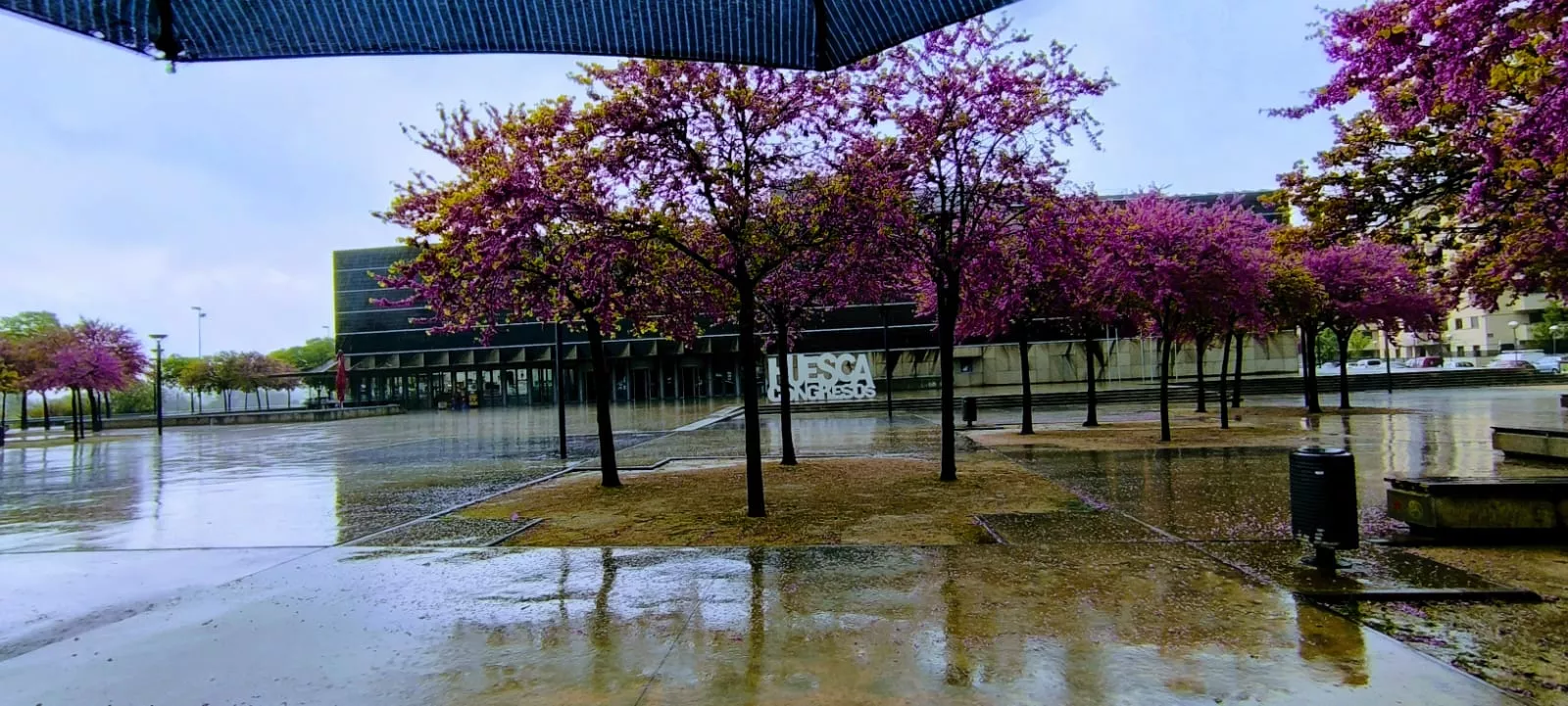 Palacio de Congresos. La lluvia ha caído con fuerza en la ciudad de Huesca. Foto Joaquín Santafé